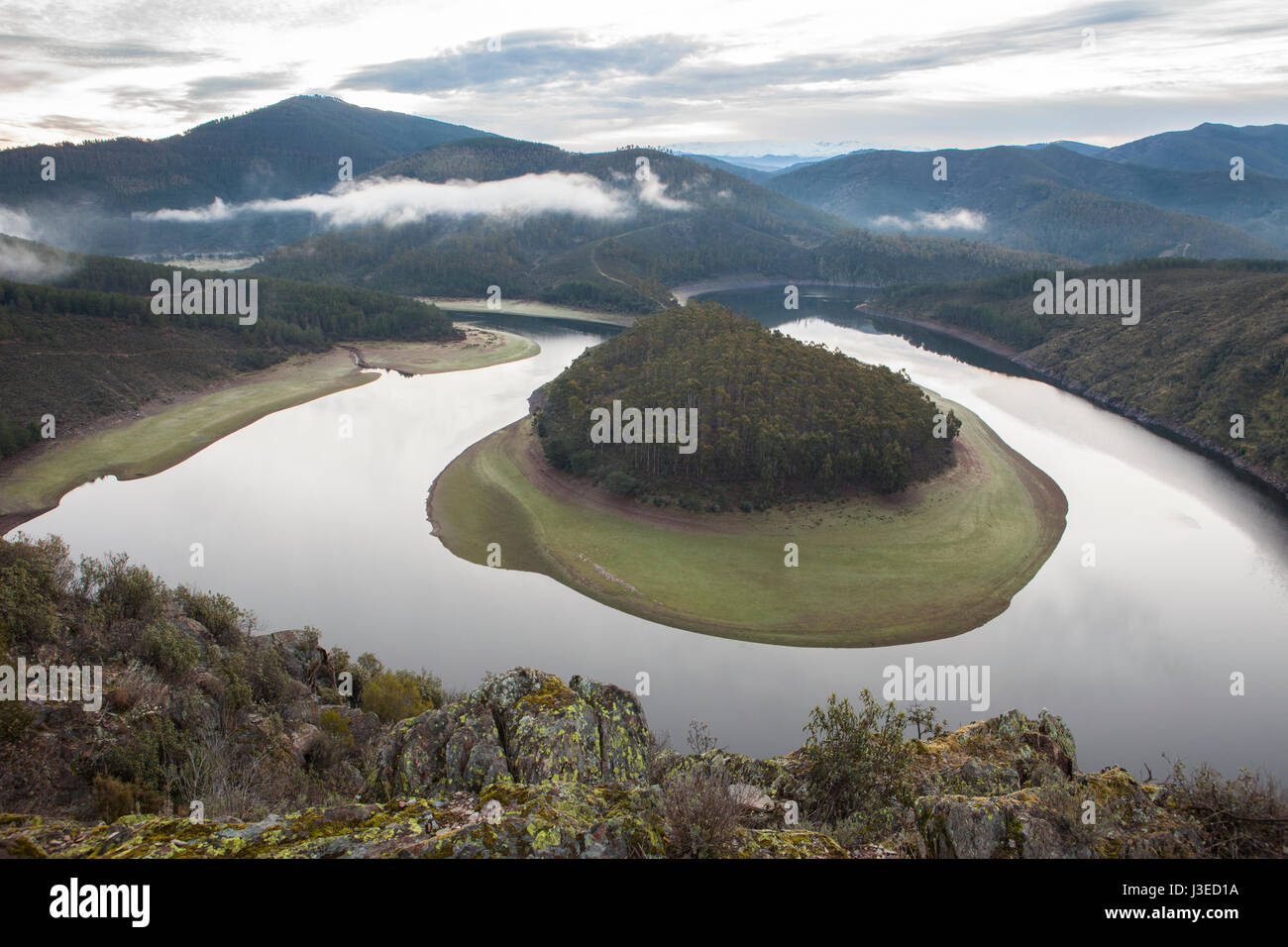 Matin de brume à Rivière Alagon méandre appelé Melero, à Riomalo de Abajo, Alcantara, Espagne Banque D'Images
