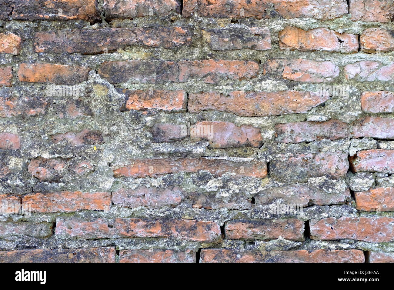 Vieux Mur Texture Background. Banque D'Images
