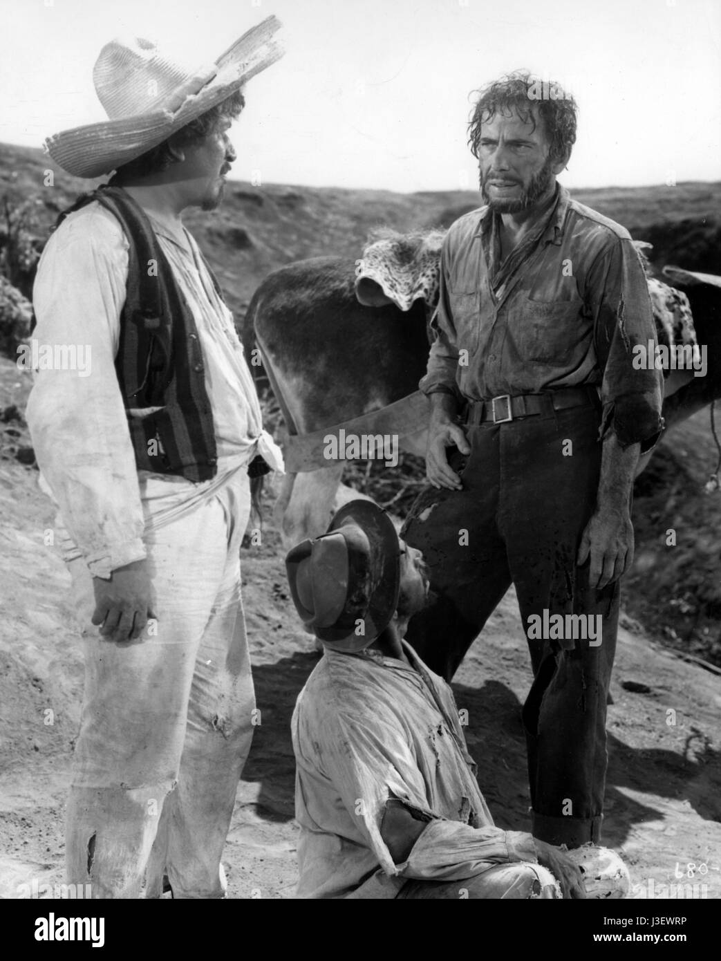 Le Trésor de la Sierra Madre Année : 1948 réalisé par John Huston Alfonso Bedoya, Humphrey Bogart Banque D'Images