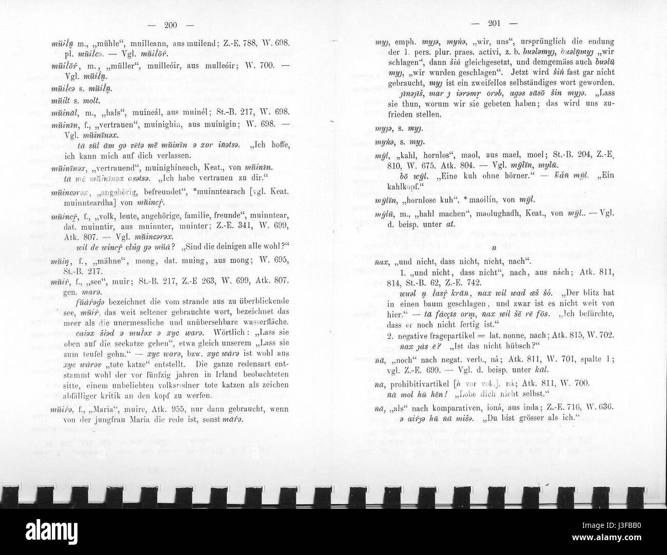 Finck araner 219 Banque D'Images