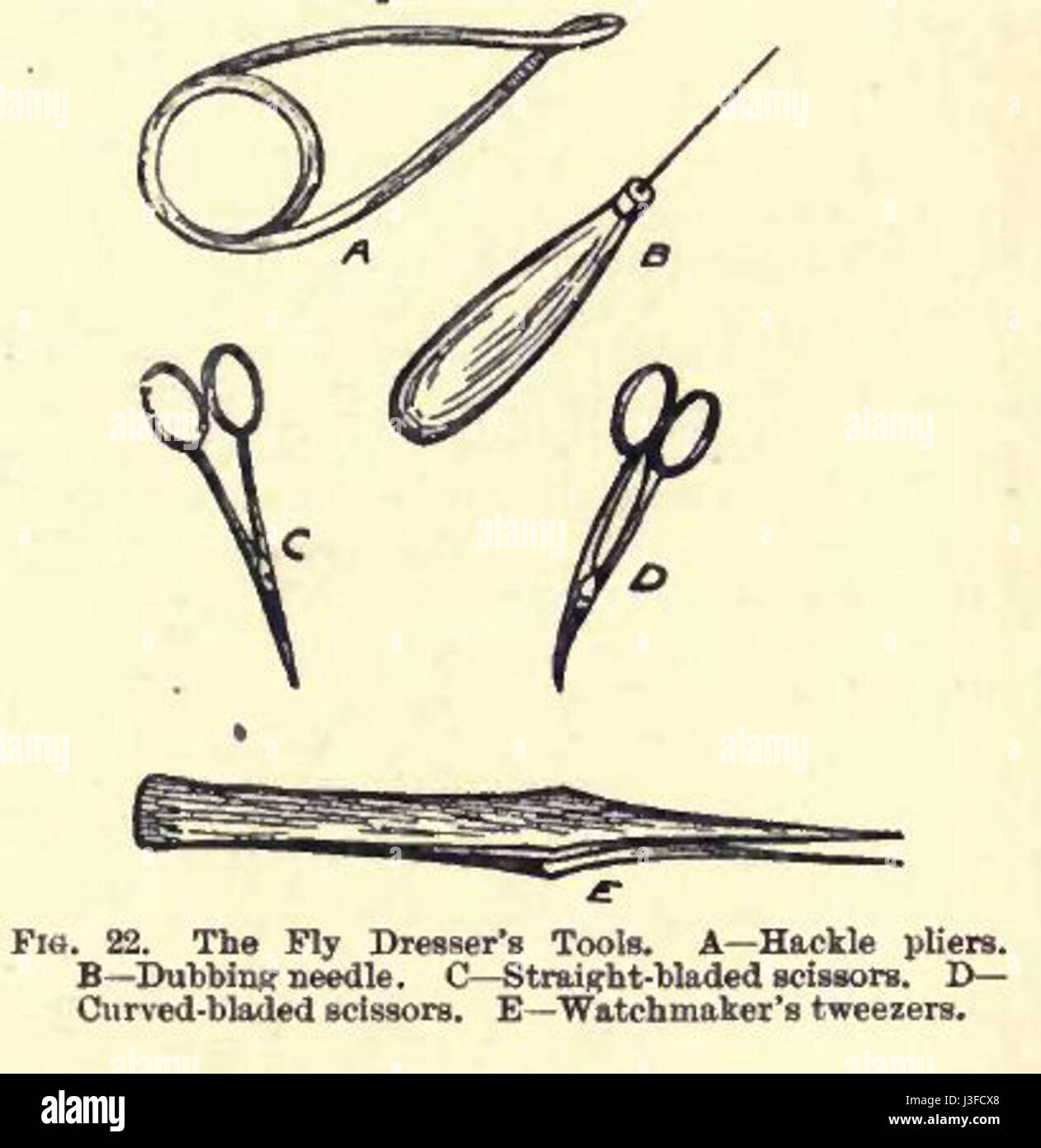 Fig22LE TROUT FLY commodes Cabinet Banque D'Images