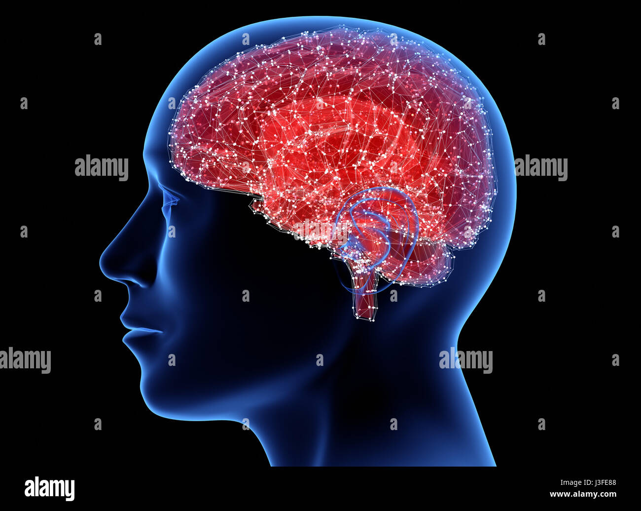 Tête d'homme avec le cerveau. 3D illustration Banque D'Images