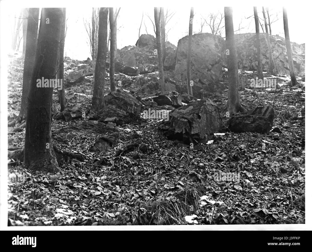 Foto Klunst 3.Gipfelklippe se réfère à une image capturant un point de vue panoramique appelé 'Gipfelklippe', probablement un sommet ou une falaise offrant une vue panoramique sur le paysage environnant. La photographie met l'accent sur la beauté naturelle de l'endroit. Banque D'Images