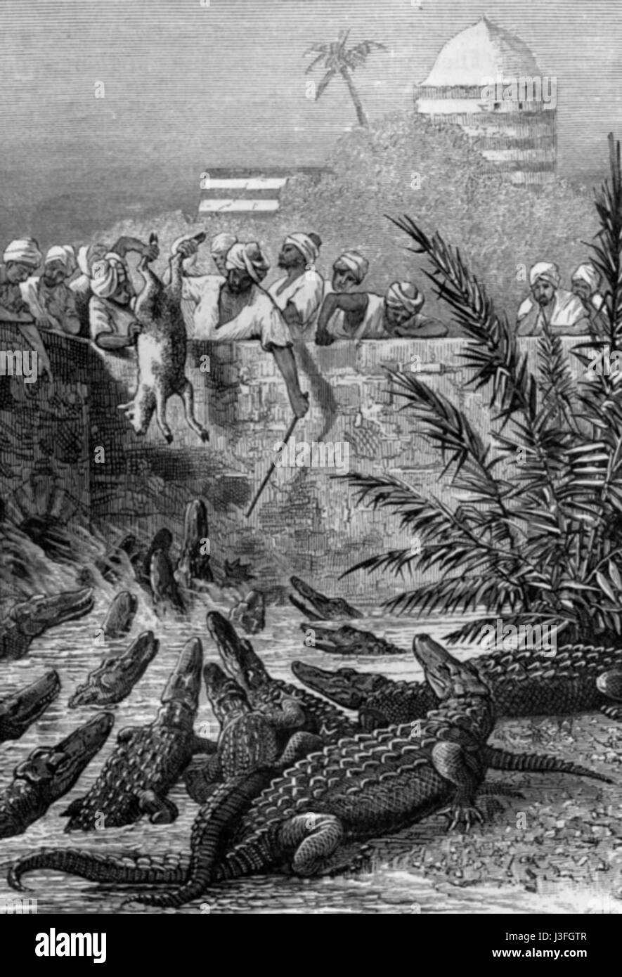 Photographie représentant le rituel consistant à nourrir les crocodiles sacrés dans un cadre traditionnel, mettant en évidence les pratiques culturelles et les interactions avec la faune. Banque D'Images
