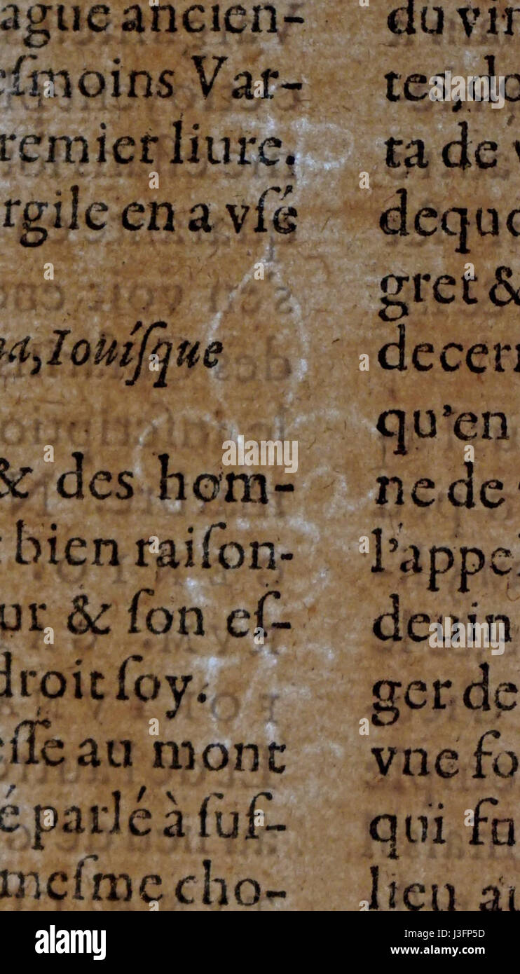 Le motif fleur-de-lys en filigrane, référencé 06543 Tite Live, met en valeur des travaux métalliques complexes. Ce motif délicat est un exemple classique d'art en filigrane, qui combine des fils fins et des perles pour créer des motifs élégants ressemblant à de la dentelle. Il est souvent associé aux arts décoratifs européens et aux symboles héraldiques, en particulier dans la culture française. Banque D'Images