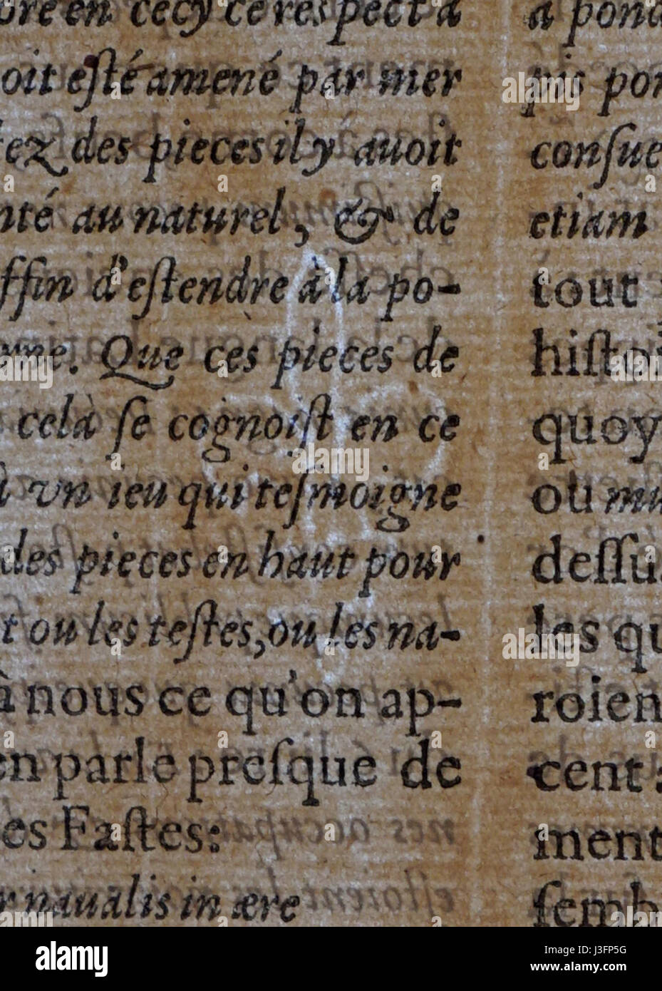 Filigrane lys 06728 Banque D'Images