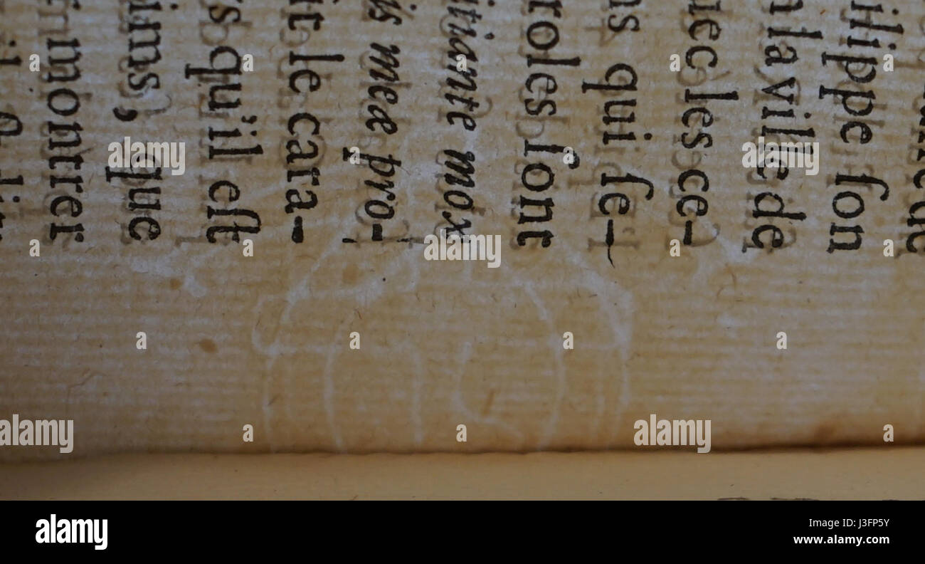 Filigrane lune double croix RM2044 07181 Banque D'Images