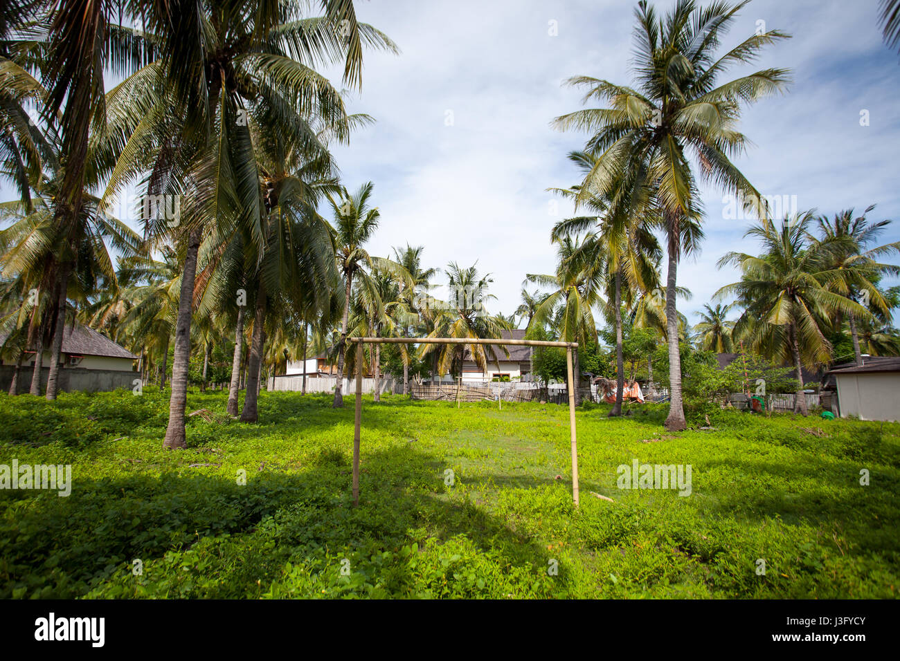 Aire de jeux - terrain de football dans la cour au milieu de palmiers et de maisons dans un pays tropical Banque D'Images