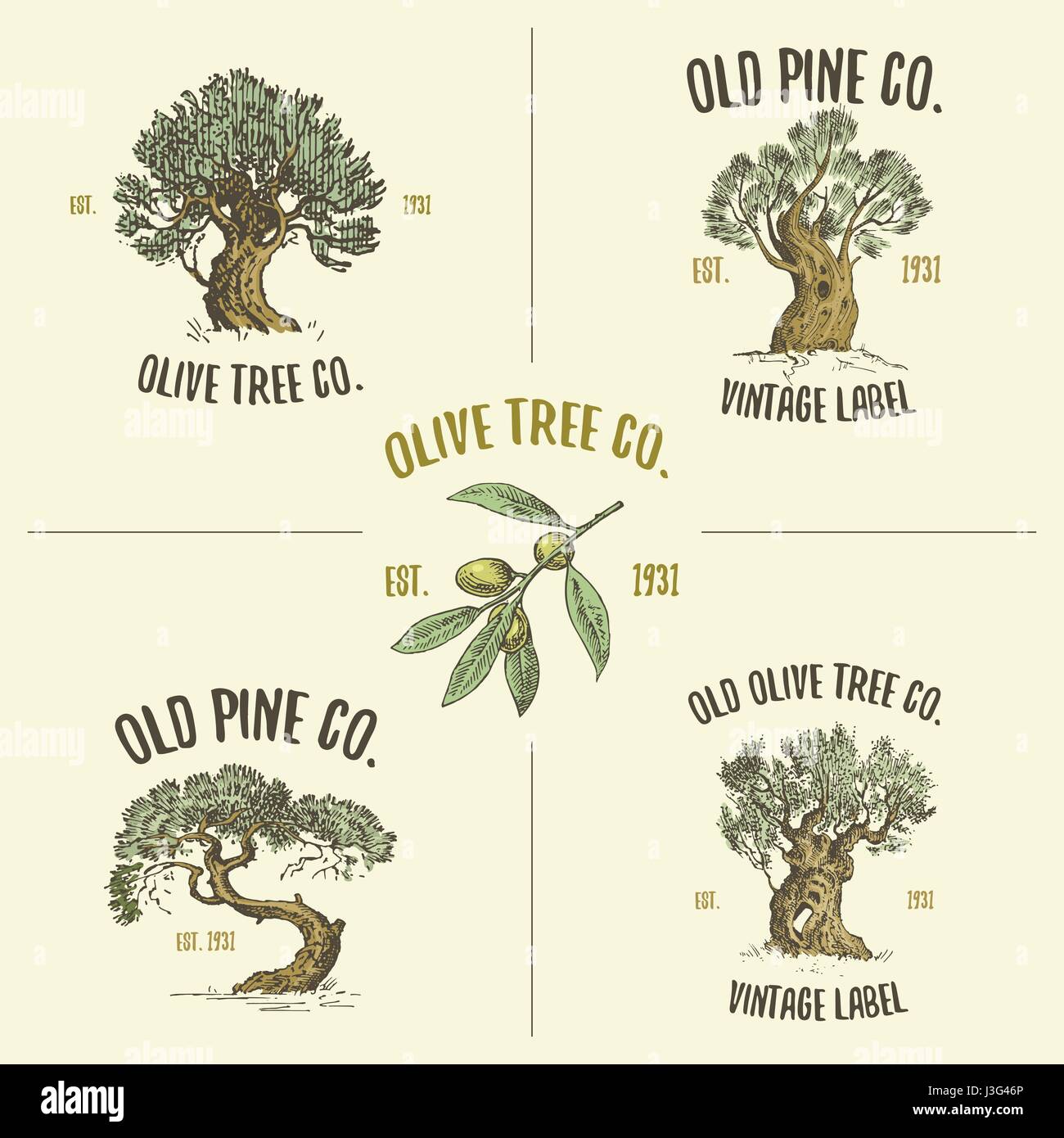 Arbre de pin et d'olive logos gravés ou dessinés à la main, vieux isolés à la recherche de l'écologie, de l'emblème ou de camping de marque alimentaire Illustration de Vecteur