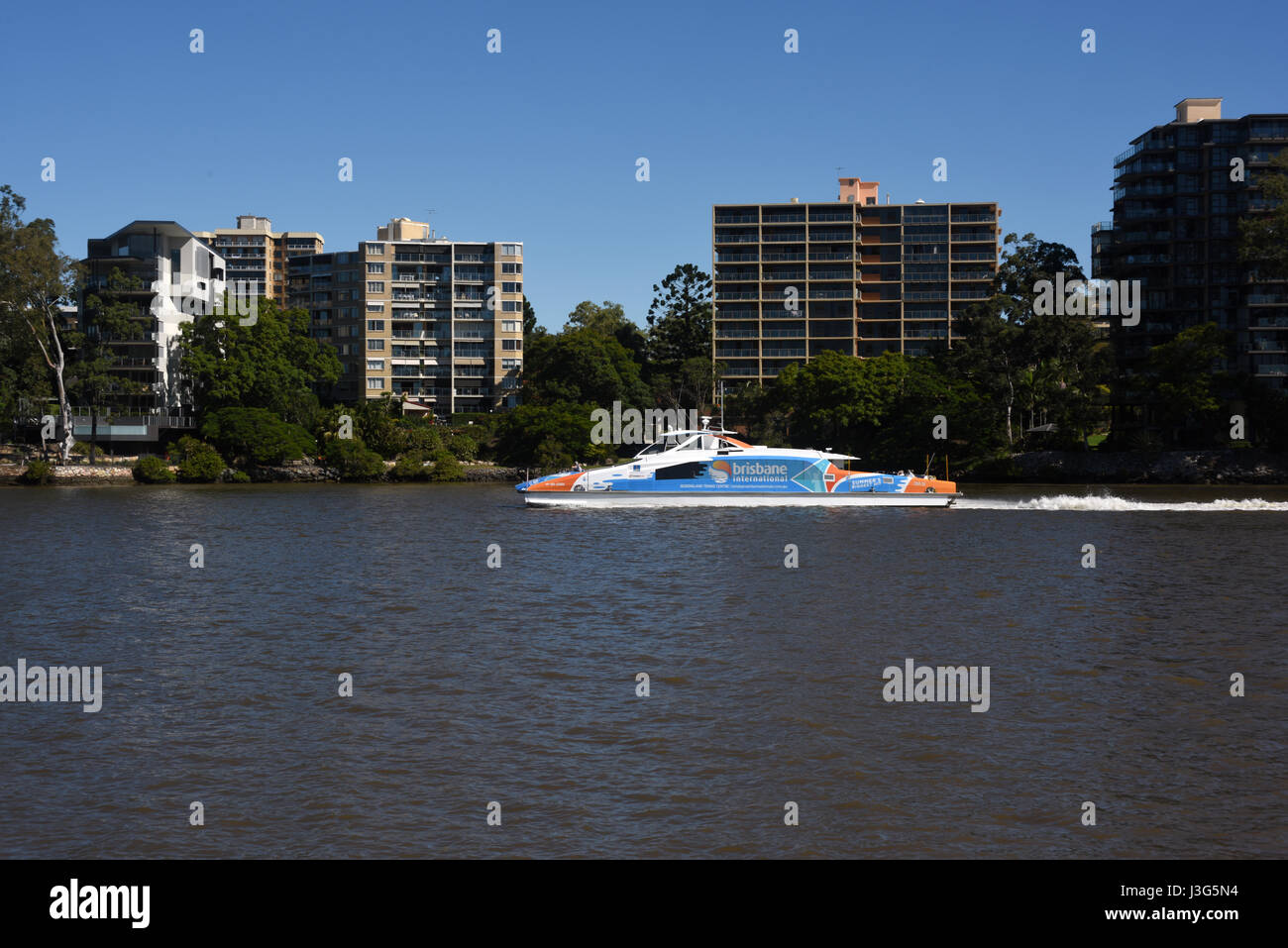 Brisbane, Australie : ferry CityCat sur la Rivière de Brisbane à St Lucia Banque D'Images