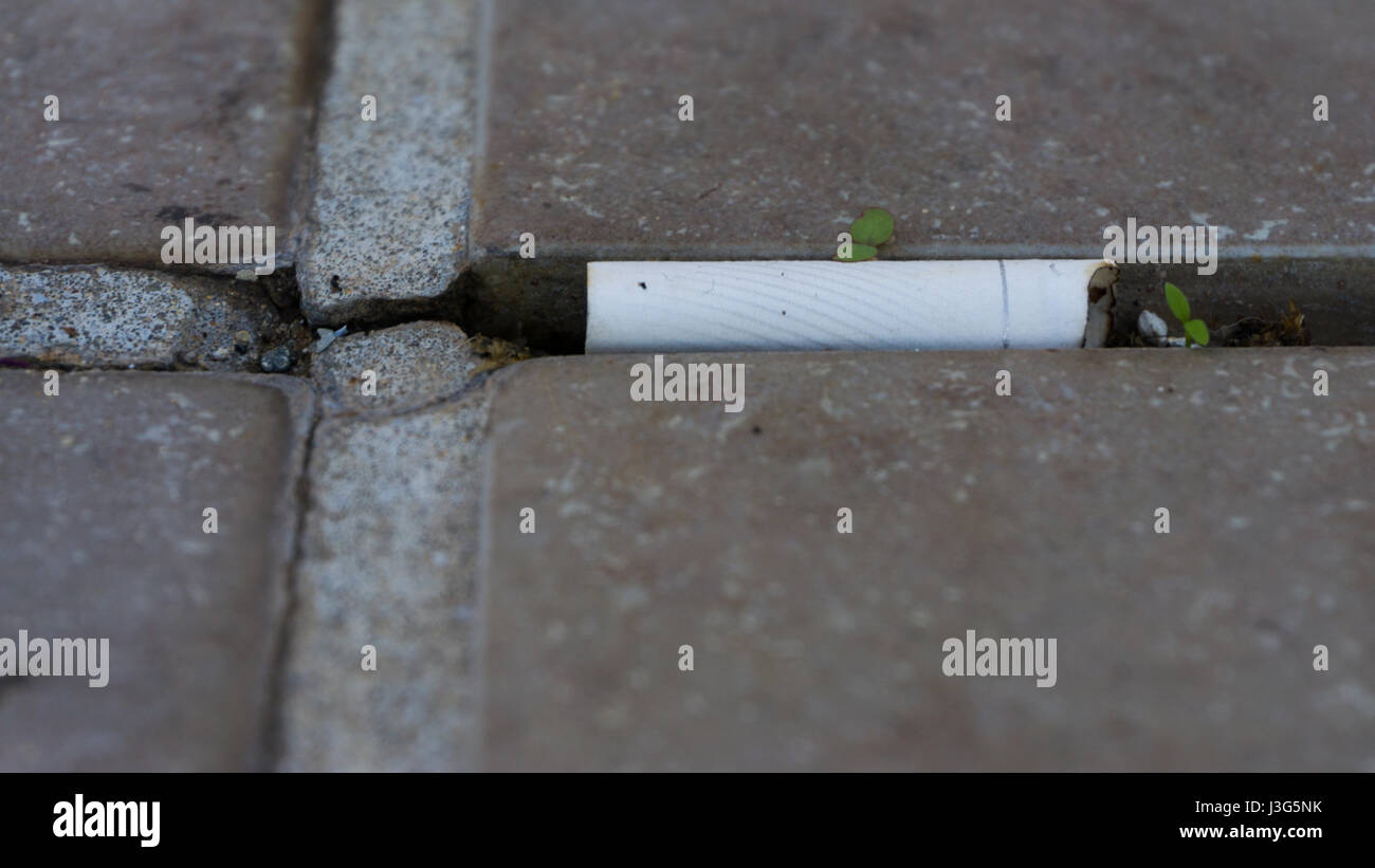 Mégot de cigarette allongé sur un trottoir le long d'une petite croissance de mauvaises herbes à travers les fissures dans un concept de propreté et fumeurs vue low angle Banque D'Images