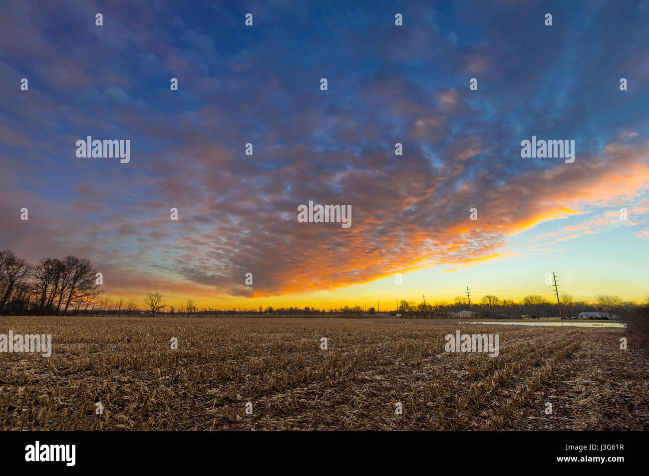 Un champ au lever du soleil, de l'Indiana, USA Banque D'Images
