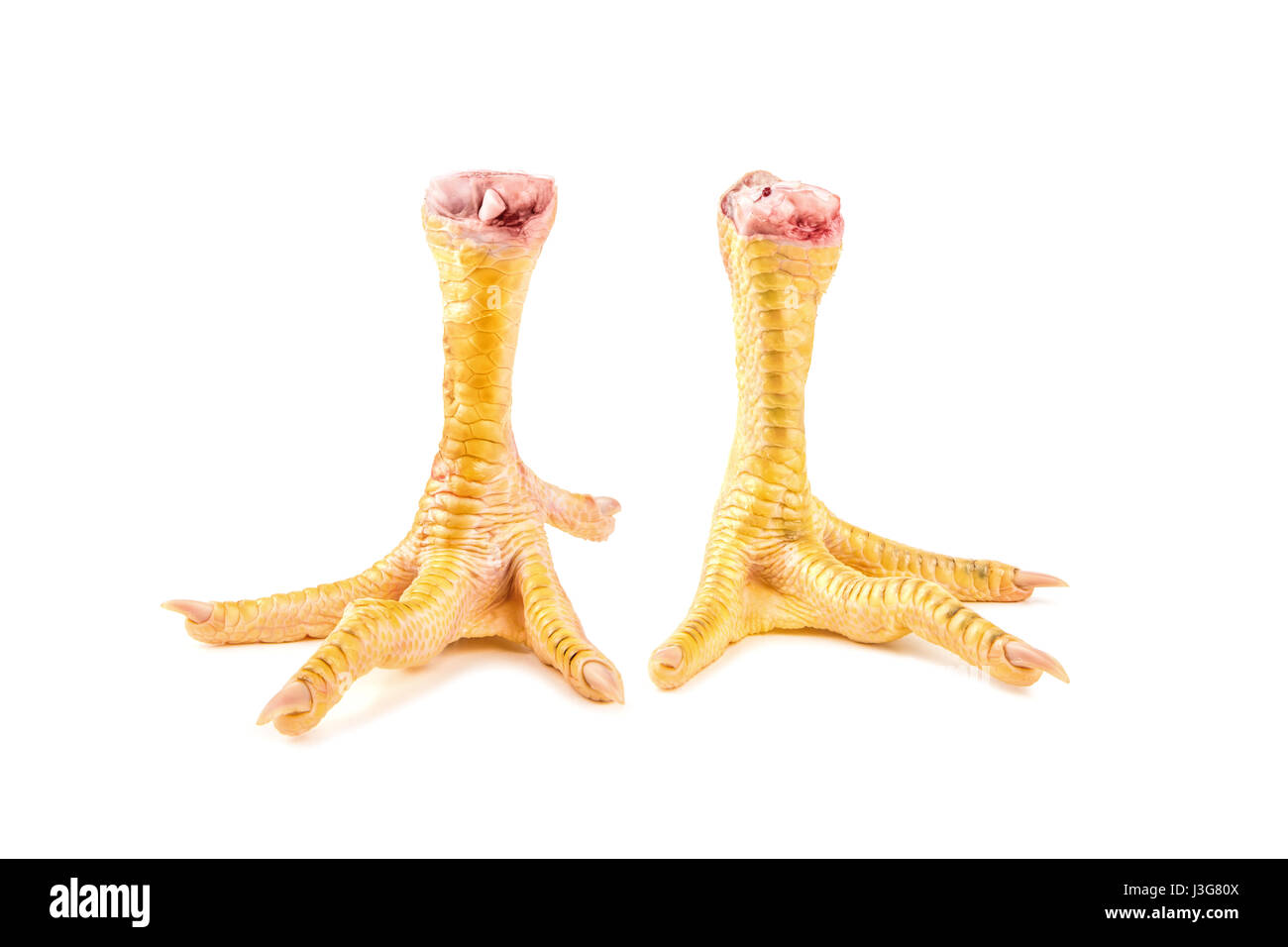 Pattes de poulet isolé sur fond blanc. Peut être utilisé comme objet pour un collage Banque D'Images