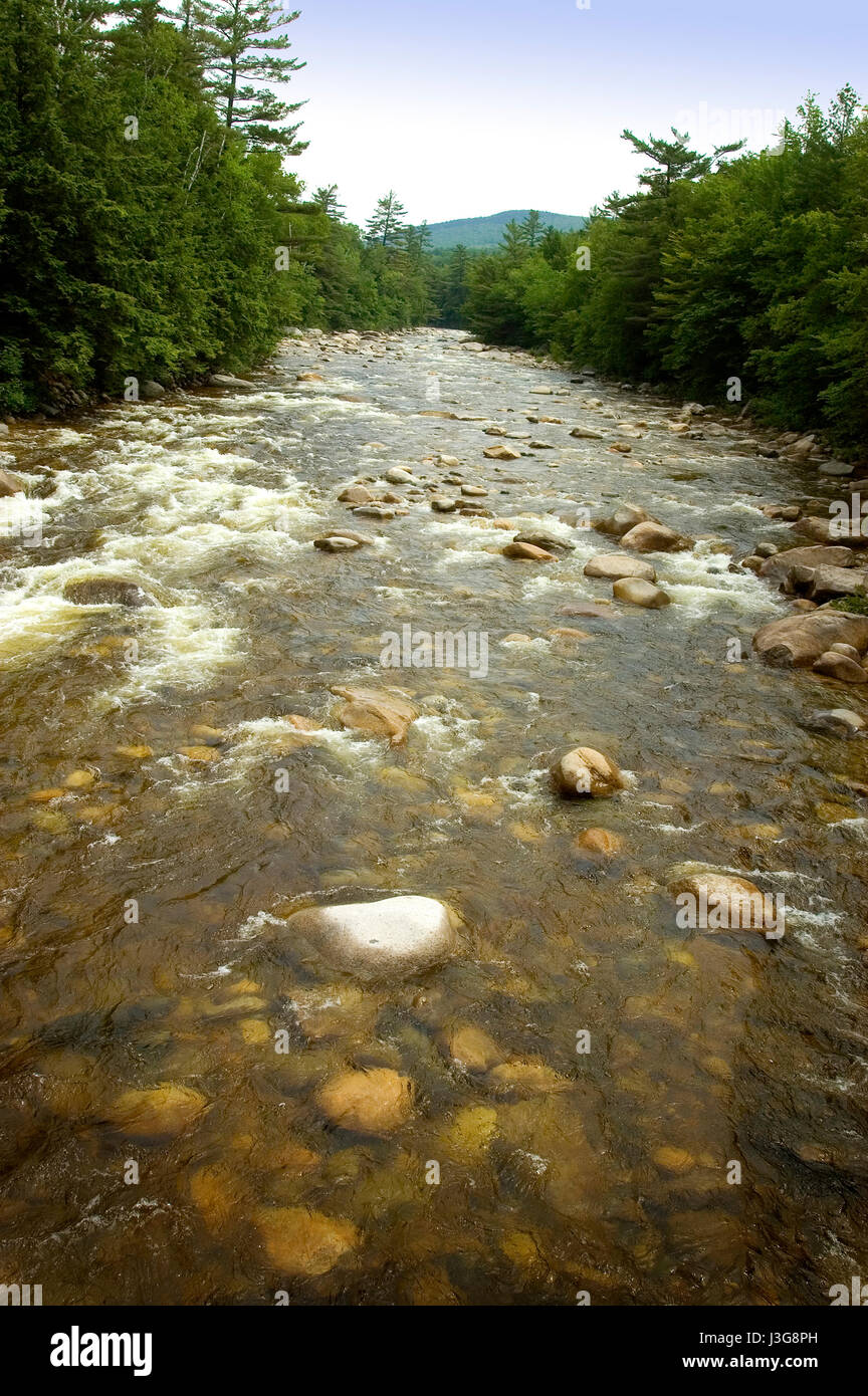 Une rivière déchaînée au Lincoln Woods - White Mountains National Forest, Lincoln, New Hampshire, USA Banque D'Images