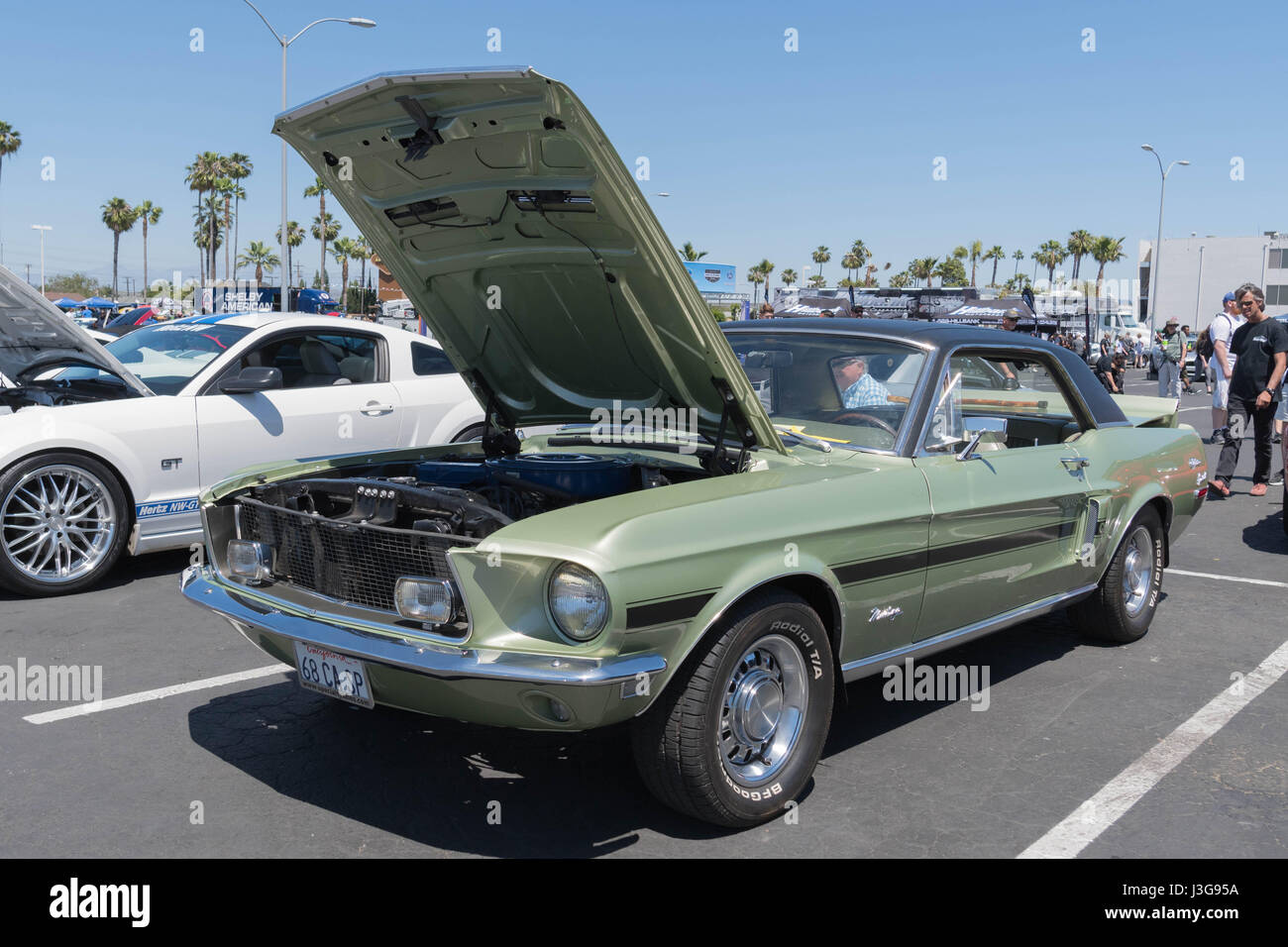 Buena Park, États-Unis - 30 Avril 2017 : Ford Mustang vert vinyle 1re génération de l'afficheur pendant la fabuleuse Ford pour toujours Banque D'Images