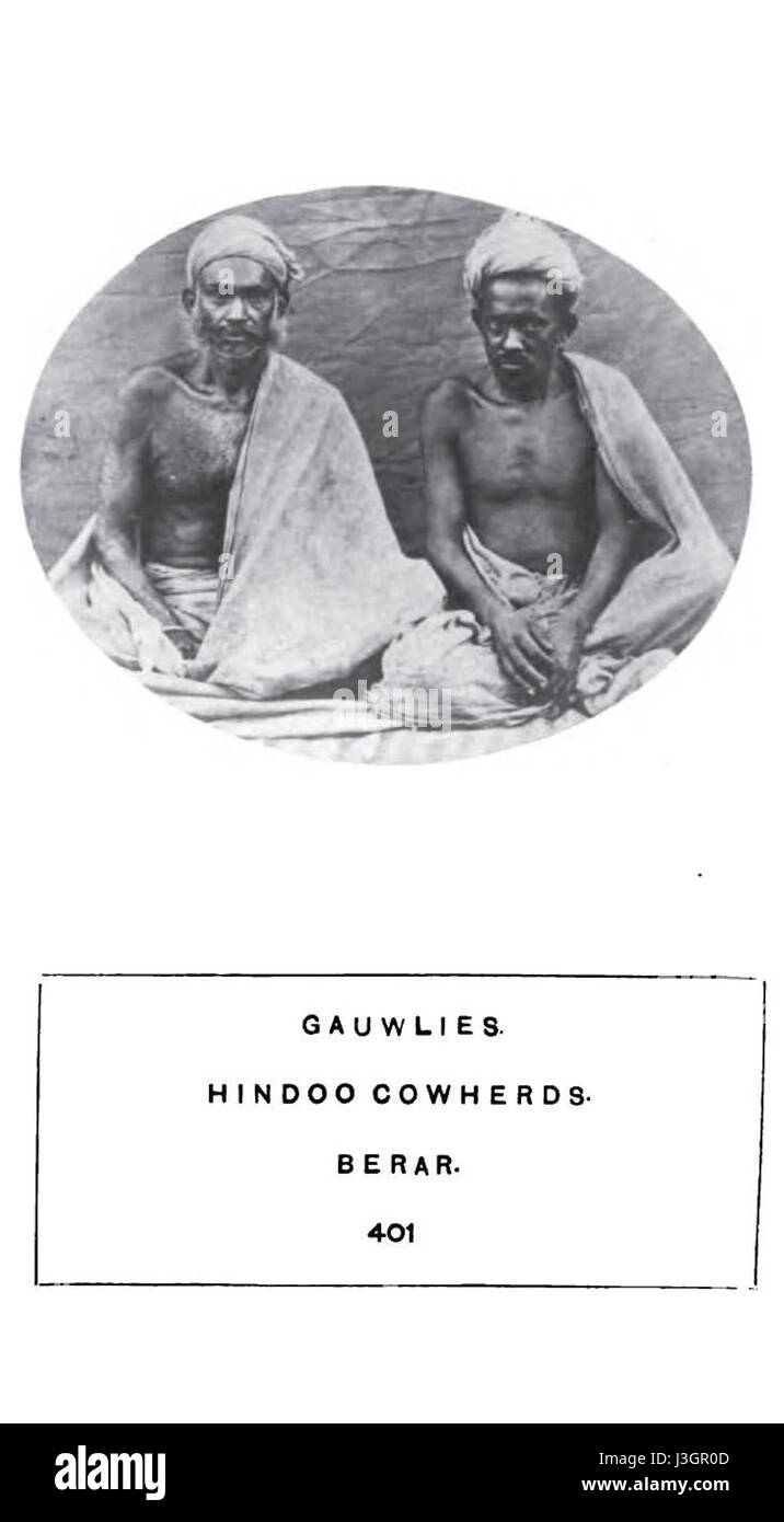 Ce titre fait probablement référence à une scène historique représentant des vachers à Berar, en Inde, en 1874. L'image capture la vie rurale, en se concentrant sur les activités de vacher et le mode de vie agraire à Berar au 19ème siècle. Banque D'Images
