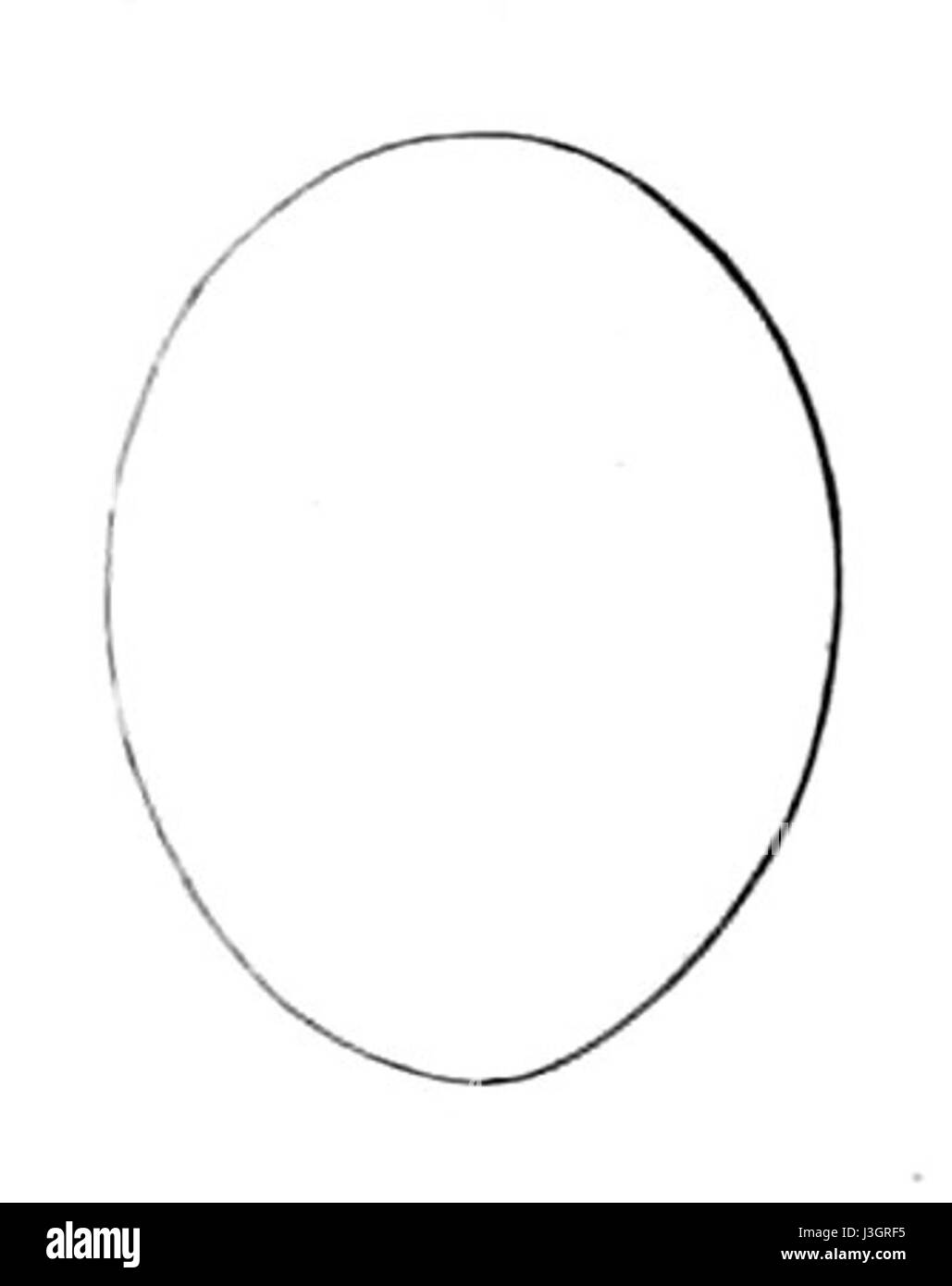 Furnarius rufus egg 1847 Banque D'Images