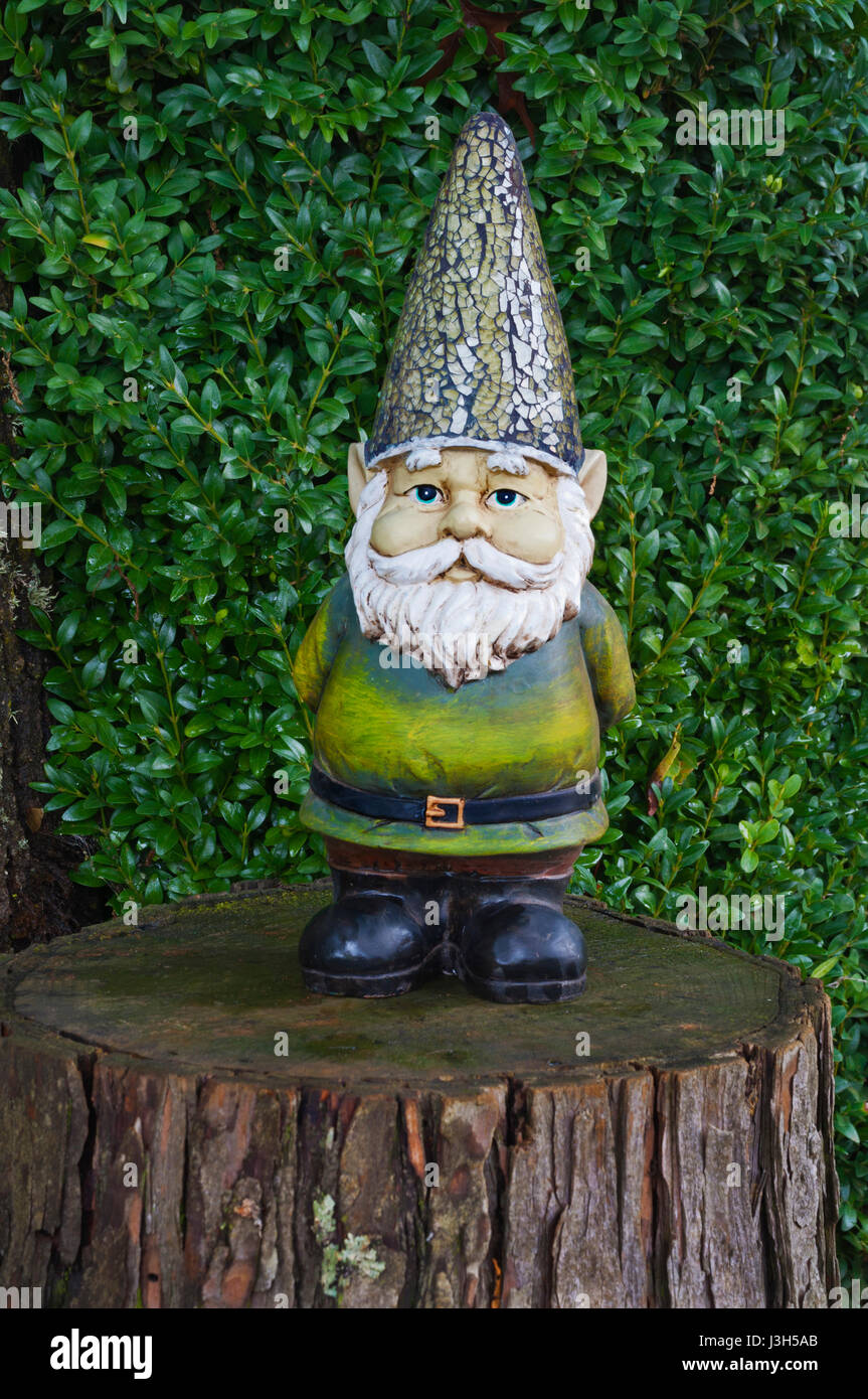 Libre de Gnome debout sur souche d'arbre avec étincelaient et chapeau costume vert Banque D'Images