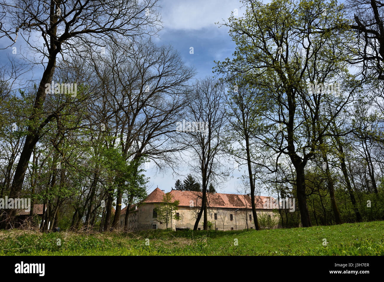 Ruines du château de l'abandon dans la forêt. La Transylvanie, Roumanie Banque D'Images