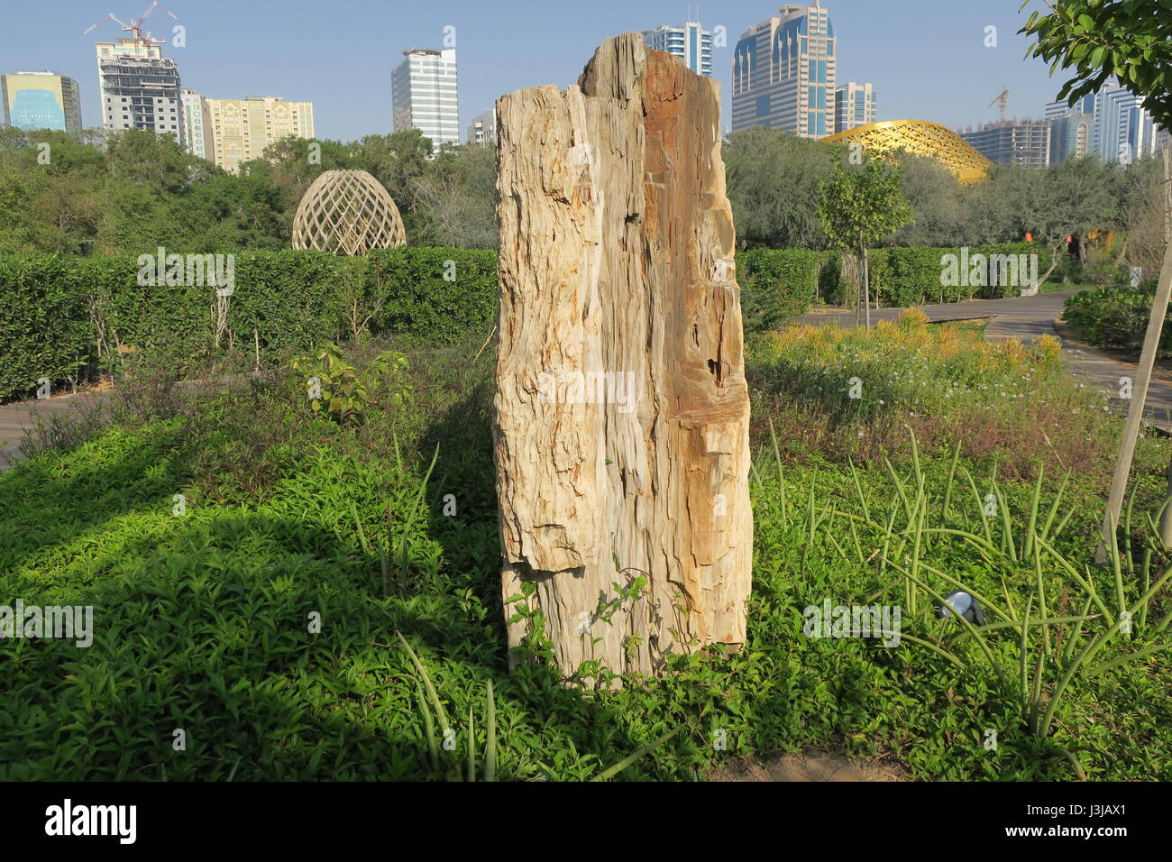 Dans l'île al noor khalid lagoon, Sharjah, Dubaï. stone arbre dans un parc. Banque D'Images