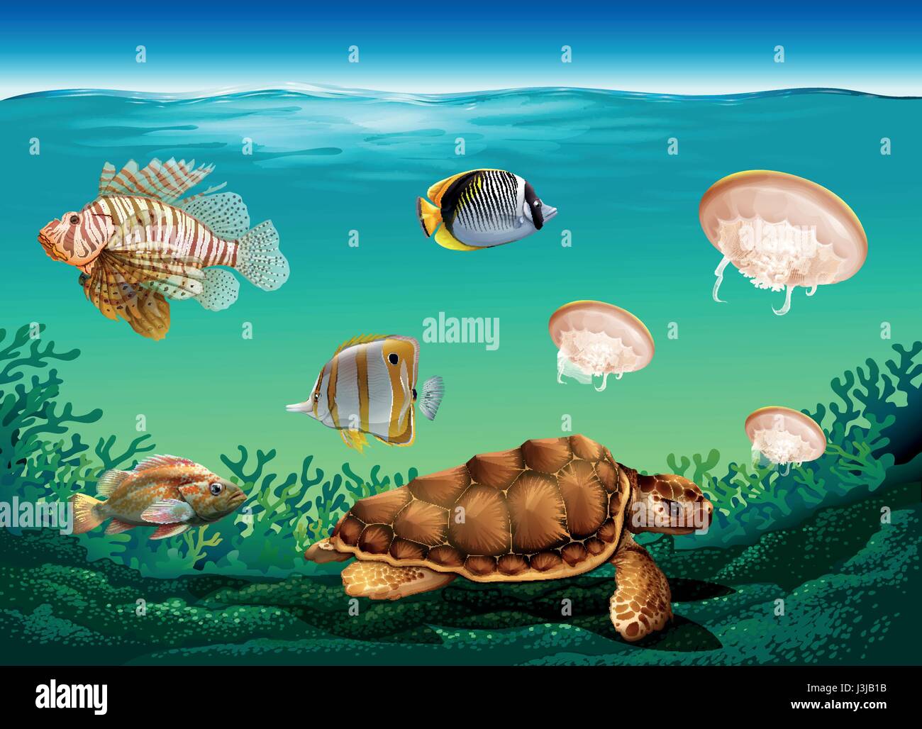 Scène sous-marine avec de nombreux animaux marins illustration Illustration de Vecteur