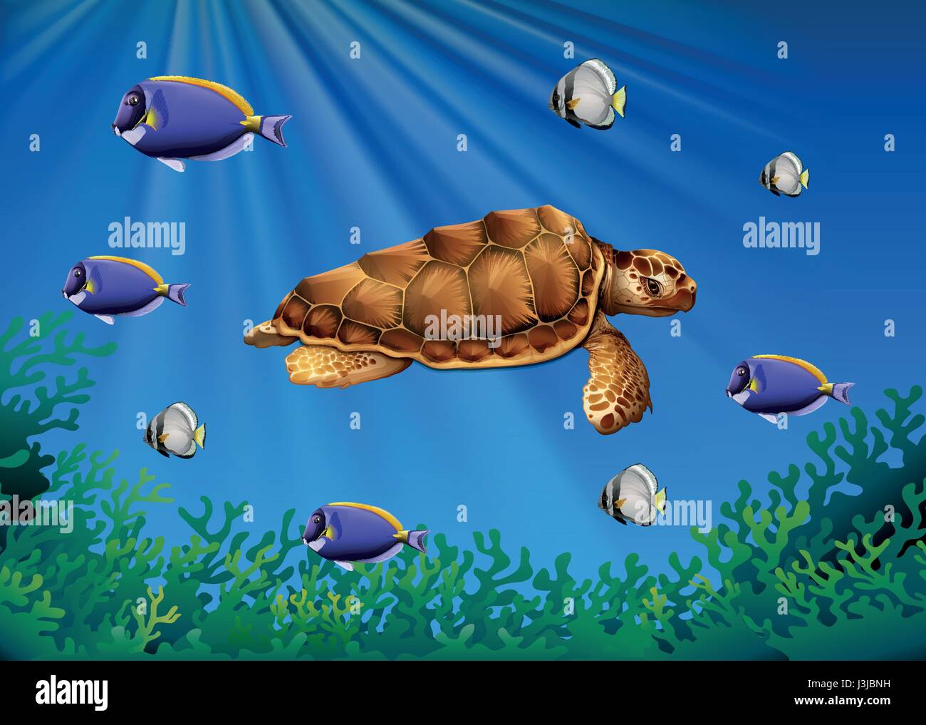 Les tortues de mer et les poissons nager sous l'illustration Illustration de Vecteur
