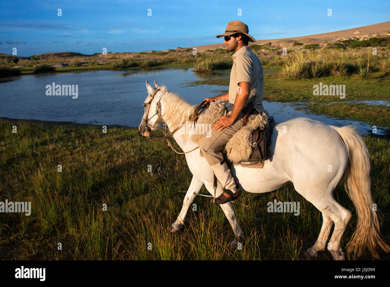 Promenade à cheval à partir de Cabo Polonio à Barra de Valizas, Rocha, Ministère de l'Uruguay. Banque D'Images