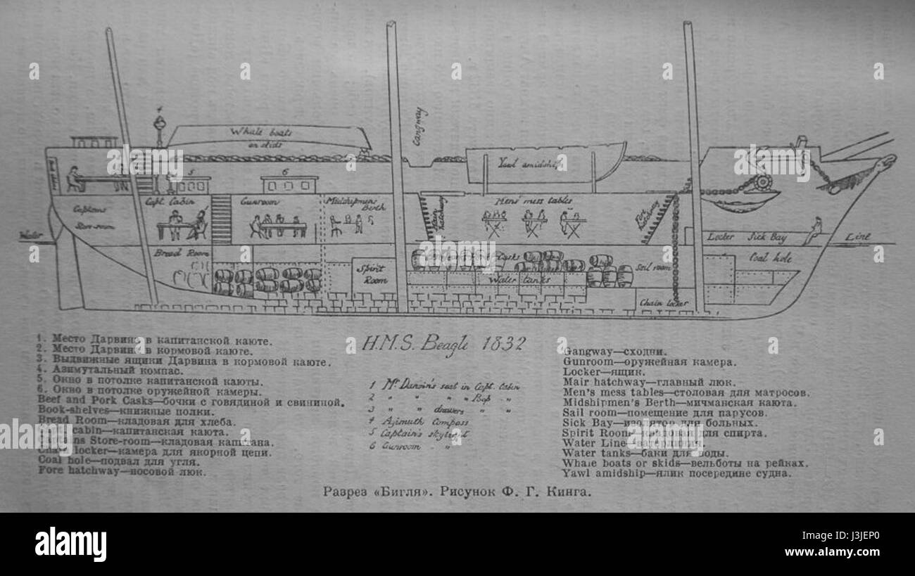 Le HMS Beagle 1832 section longitudinale Banque D'Images