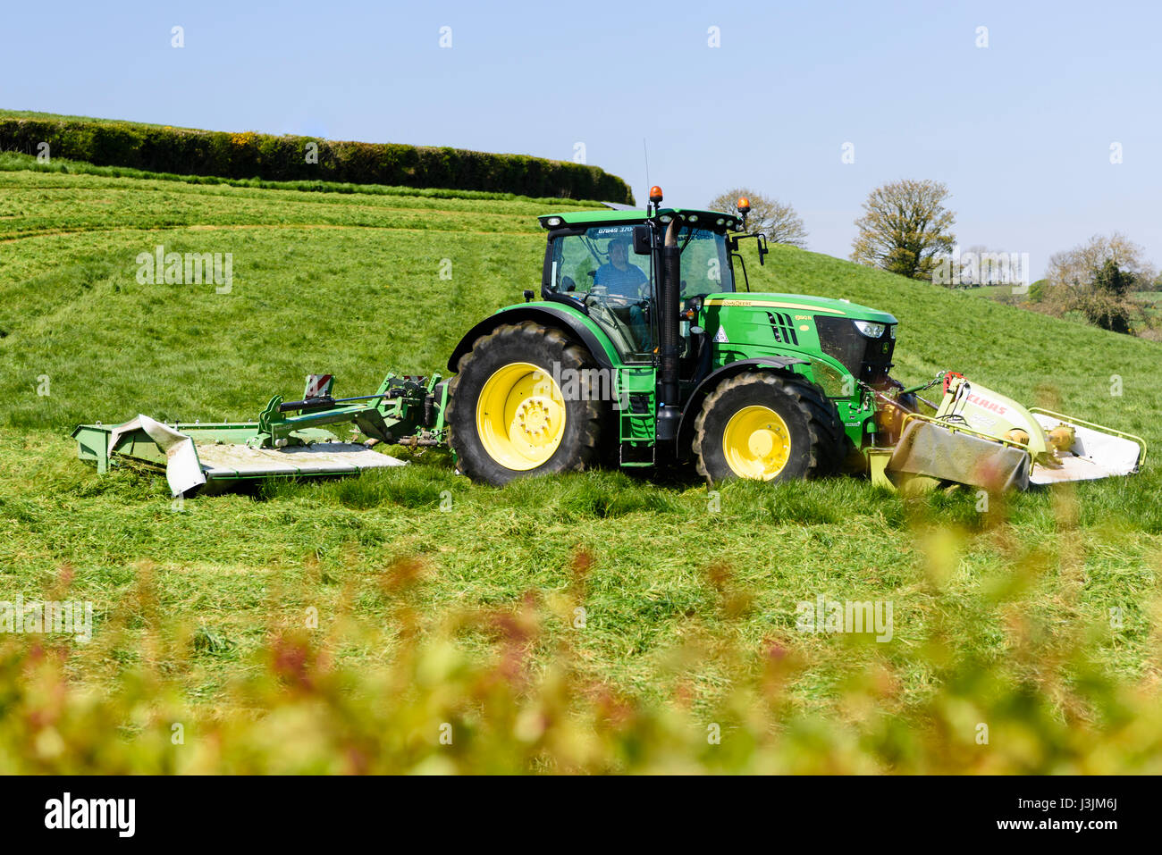 Fermier dans un John Deere 6190 avec disque avant et arrière coupe-herbe coupe la première récolte de l'ensilage. Banque D'Images