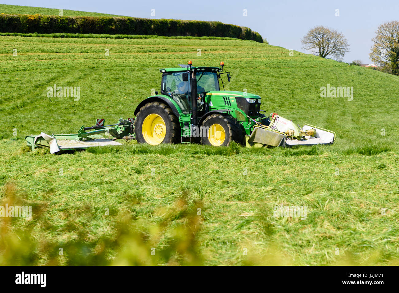 Fermier dans un John Deere 6190 avec disque avant et arrière coupe-herbe coupe la première récolte de l'ensilage. Banque D'Images