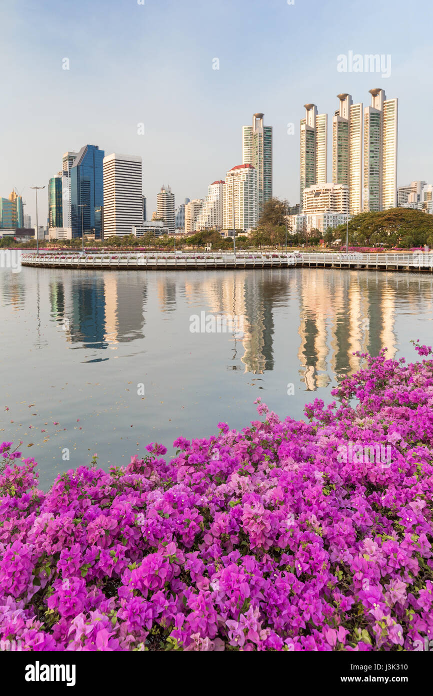 Fleurs au parc Benjakiti (Benjakitti) et de réflexion des gratte-ciel de Bangkok, Thaïlande. Banque D'Images