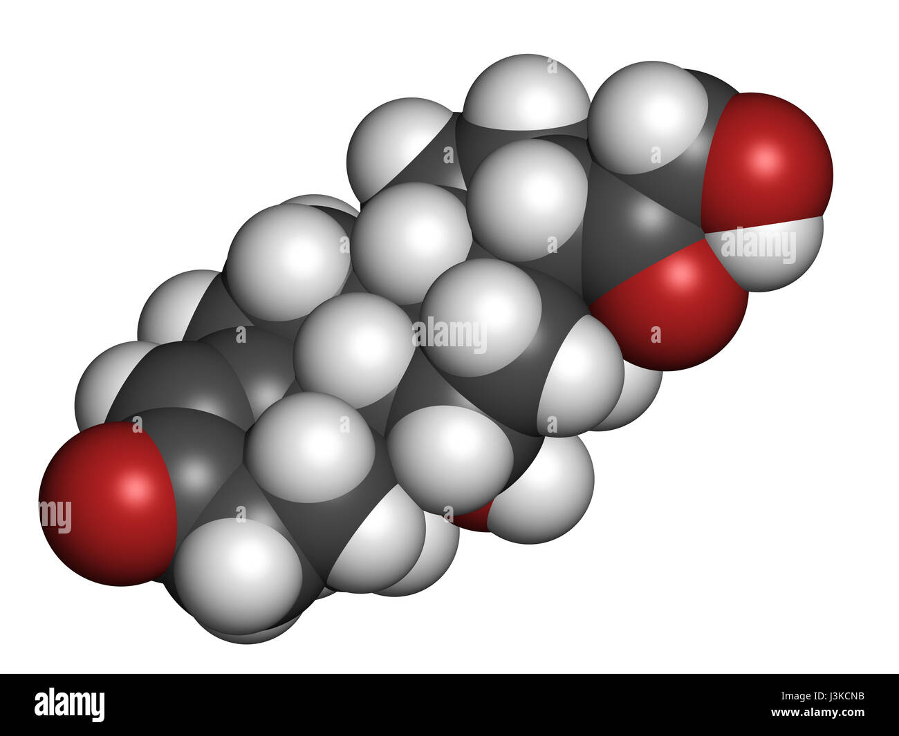 Minéralocorticoïdes aldostérone hormone produite par la glande surrénale. Les atomes sont représentés comme des sphères classiques avec codage couleur : blanc (l'hydrogène Banque D'Images