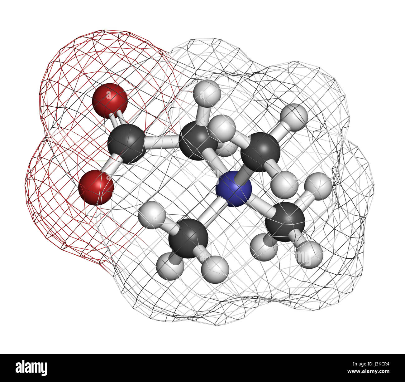 (Bétaïne glycine bétaïne, trimethylglycine) molécule. Initialement trouvé dans le sucre de betterave (Beta vulgaris). Les atomes sont représentés comme des domaines de la convention Banque D'Images