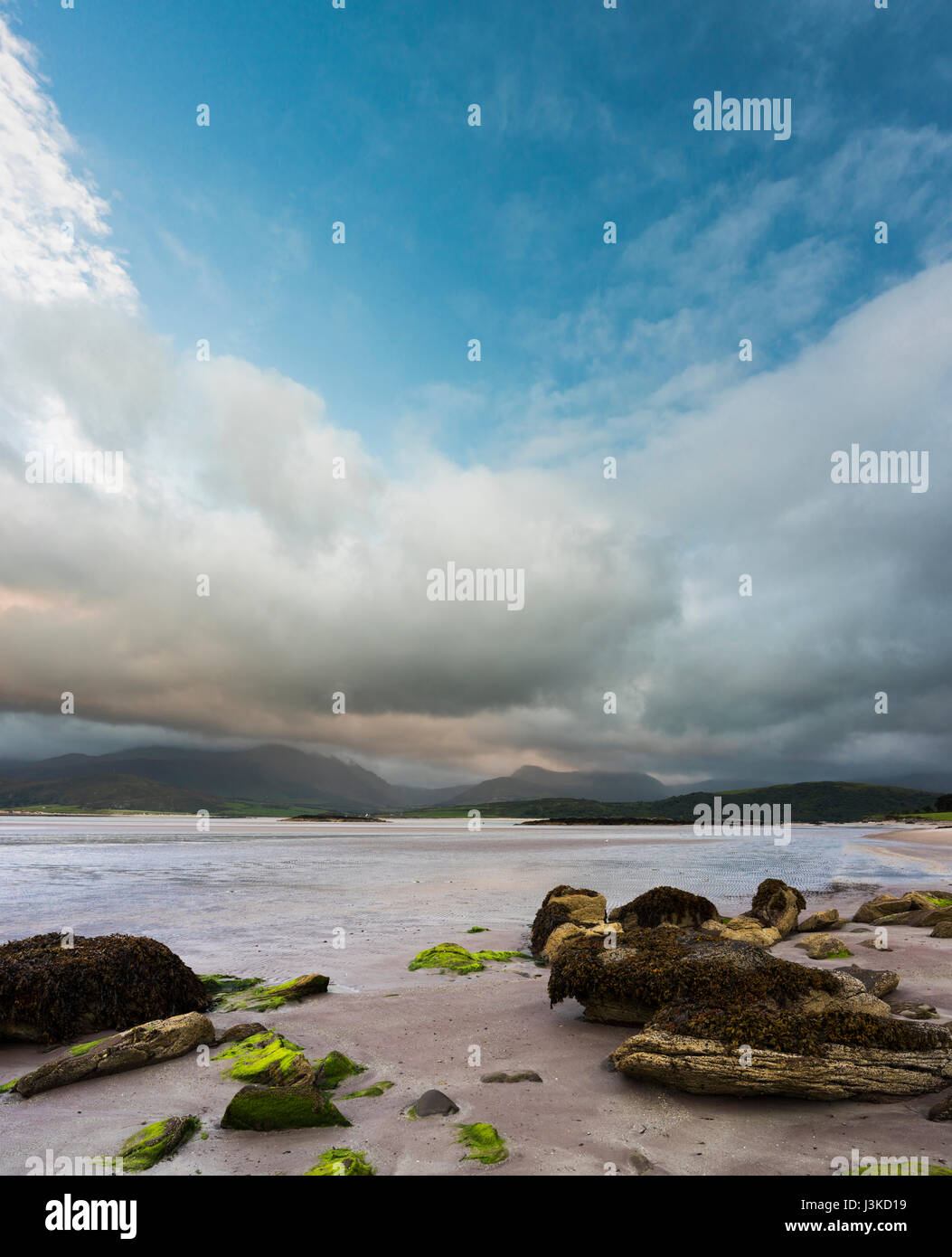 Cappagh Beach, Clockane (un), Saint-lunaire a été racheté par la péninsule de Dingle, comté de Kerry, Irlande, sur un beau soir d'été, peu avant le coucher du soleil avec la marée out Banque D'Images