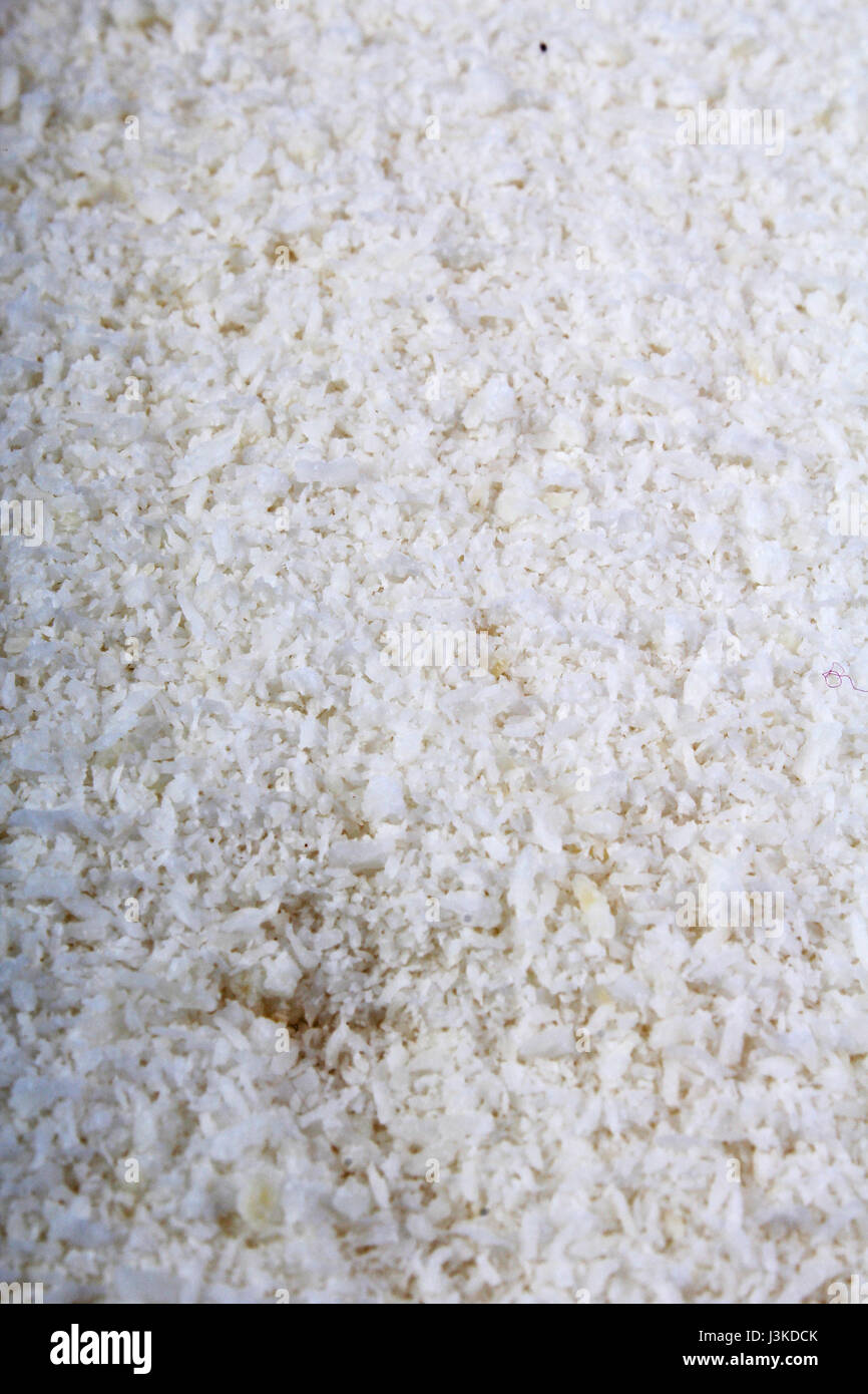 Noix de coco desséchée Banque D'Images