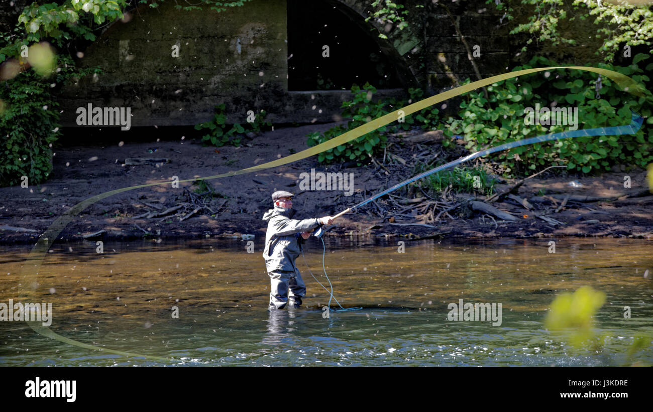 Pêche à la mouche - le soleil brille sur la rivière Clyde près de Blantyre Banque D'Images