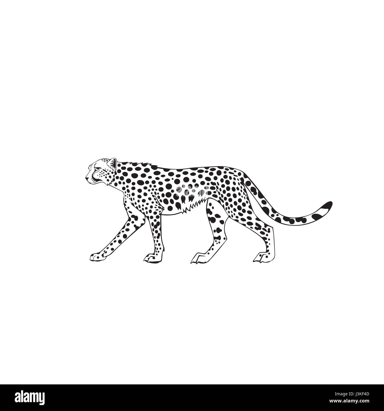 Animal : belle conception de tatouage de cheetah Illustration de Vecteur