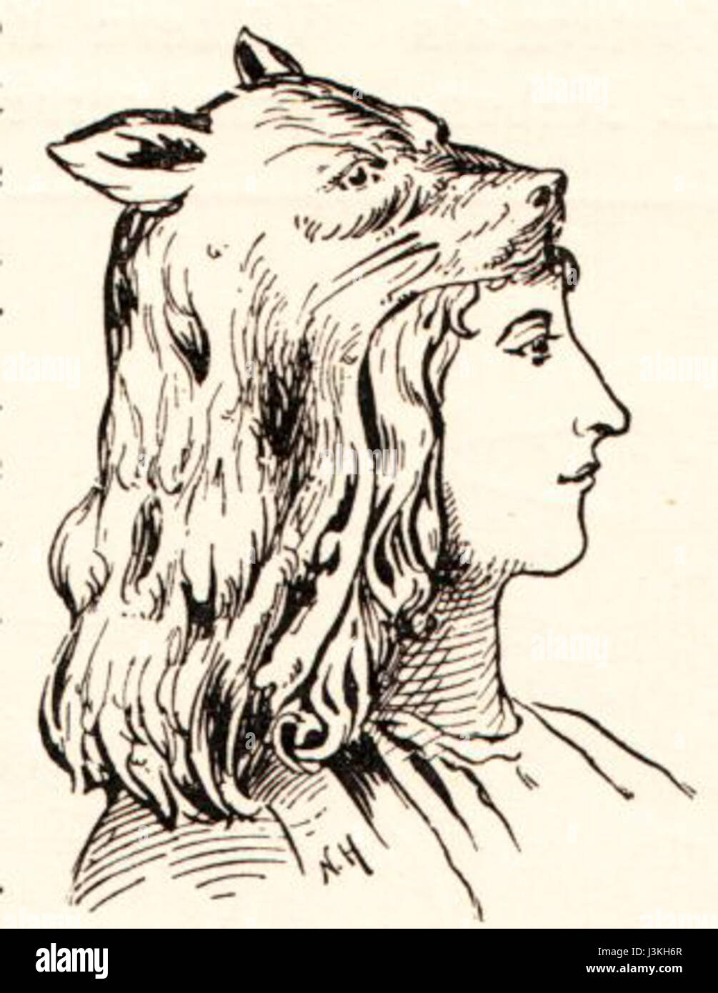 Une casquette de fourrure grecque traditionnelle, également connue sous le nom de « Kopania », est un type de couvre-chef historiquement porté par divers groupes ethniques dans les régions grecques. Souvent fabriqués à partir de fourrure animale, ces casquettes étaient généralement portées pendant les mois les plus froids et font partie de la tenue culturelle et historique de la Grèce. Banque D'Images