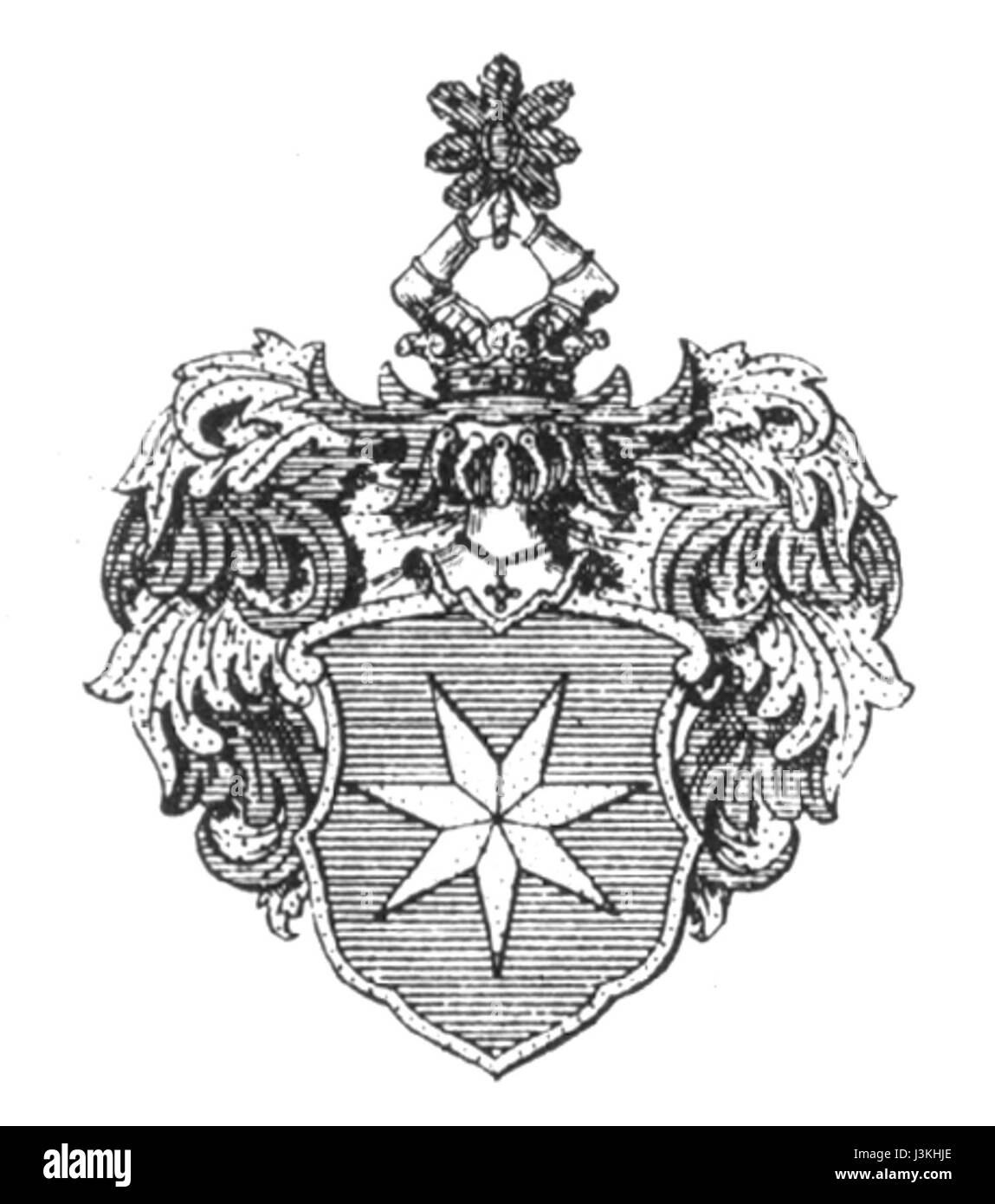 Le titre 'Gyllenstierna Svaneholm 29' fait probablement référence à un document historique, une histoire familiale ou un document de propriété associé à la famille Gyllenstierna et à Svaneholm, peut-être un domaine suédois ou un site historique lié à l'aristocratie suédoise. Banque D'Images