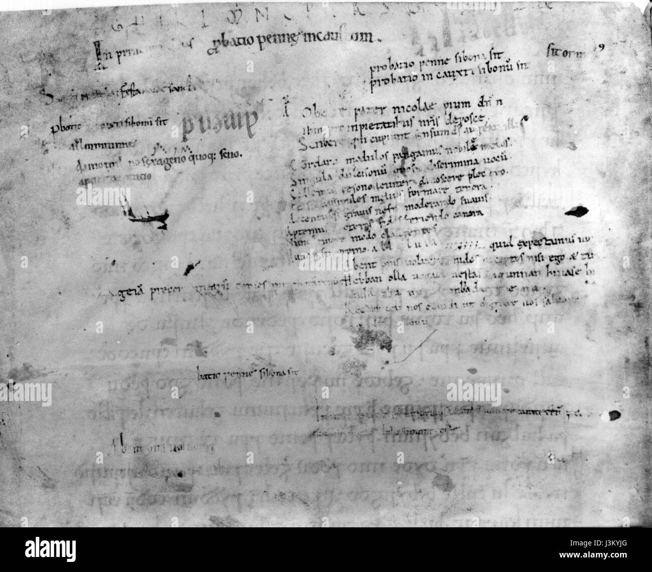 Un aperçu du texte en néerlandais ancien 'Hebban olla vogala', l'un des plus anciens exemples connus de néerlandais écrit, datant du 11ème siècle. C'est un fragment d'une chanson écrite dans la langue du début de la période médiévale aux pays-Bas. Banque D'Images