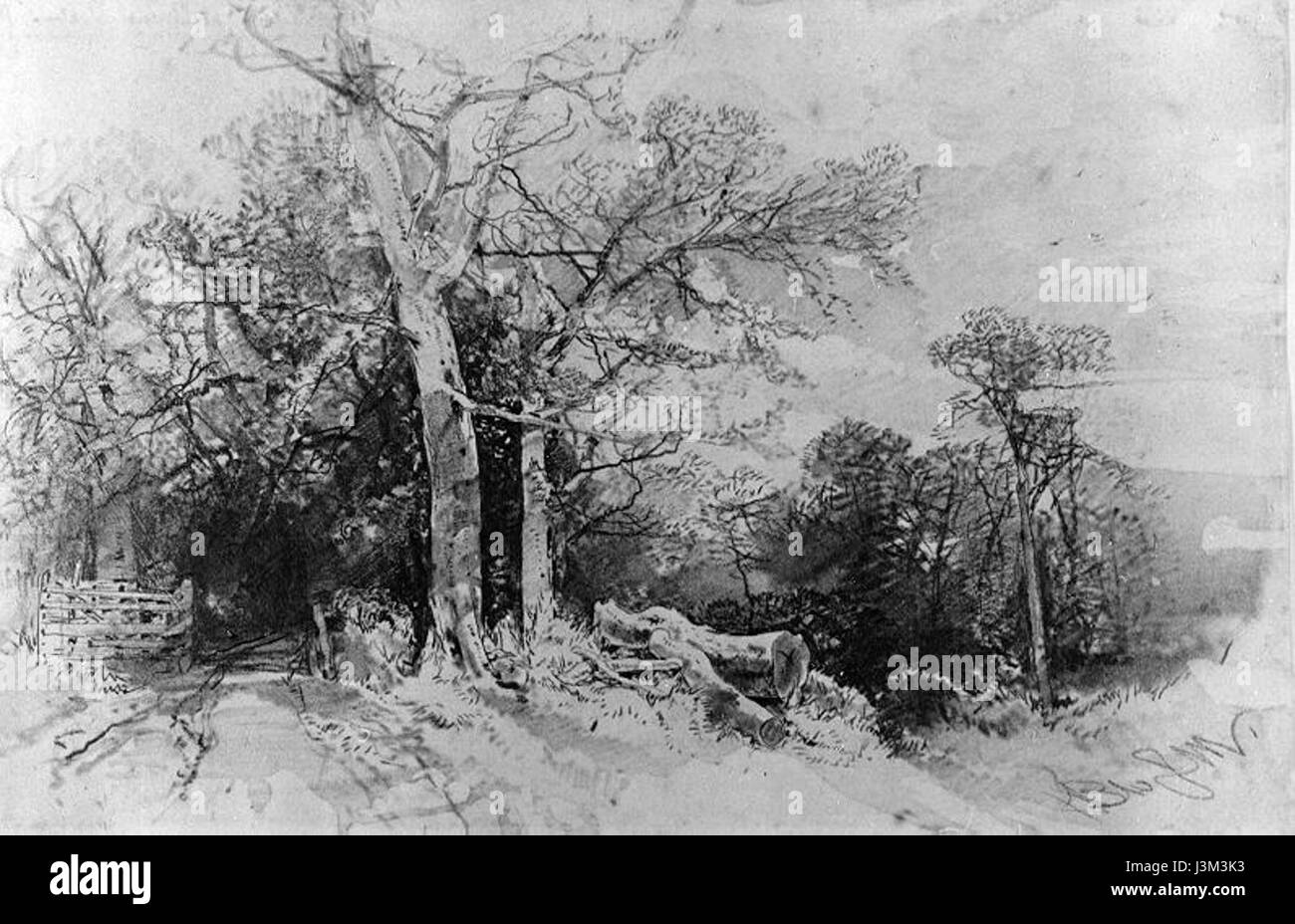 Henry Bright était un peintre paysagiste anglais connu pour ses représentations atmosphériques et détaillées de scènes rurales et côtières au XIXe siècle. Ses œuvres soulignent souvent la beauté naturelle et la tranquillité de la campagne anglaise. Banque D'Images