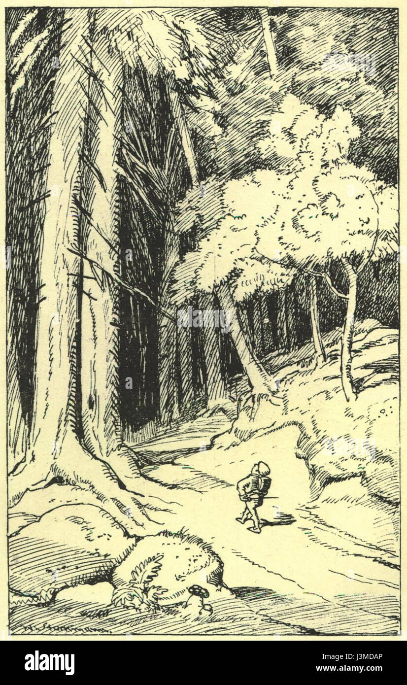 'Le voyage du petit poucet' est un conte de fées des Frères Grimm. Cette édition capture l'une des illustrations clés qui accompagnent l'histoire, reflétant les thèmes traditionnels de l'aventure et de la méchanceté. Banque D'Images