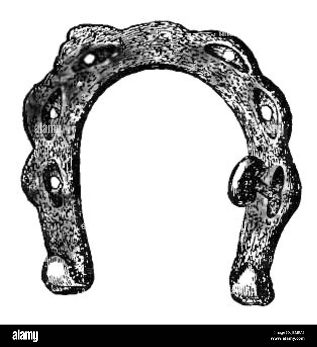 Chaussures Cheval Cheval et ferrage page167a Banque D'Images