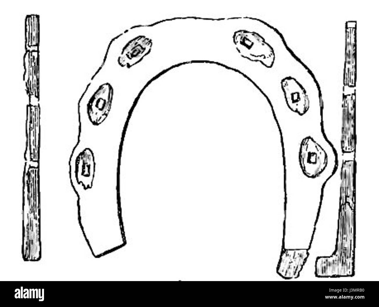 Chaussures Cheval Cheval et ferrage page216a Banque D'Images