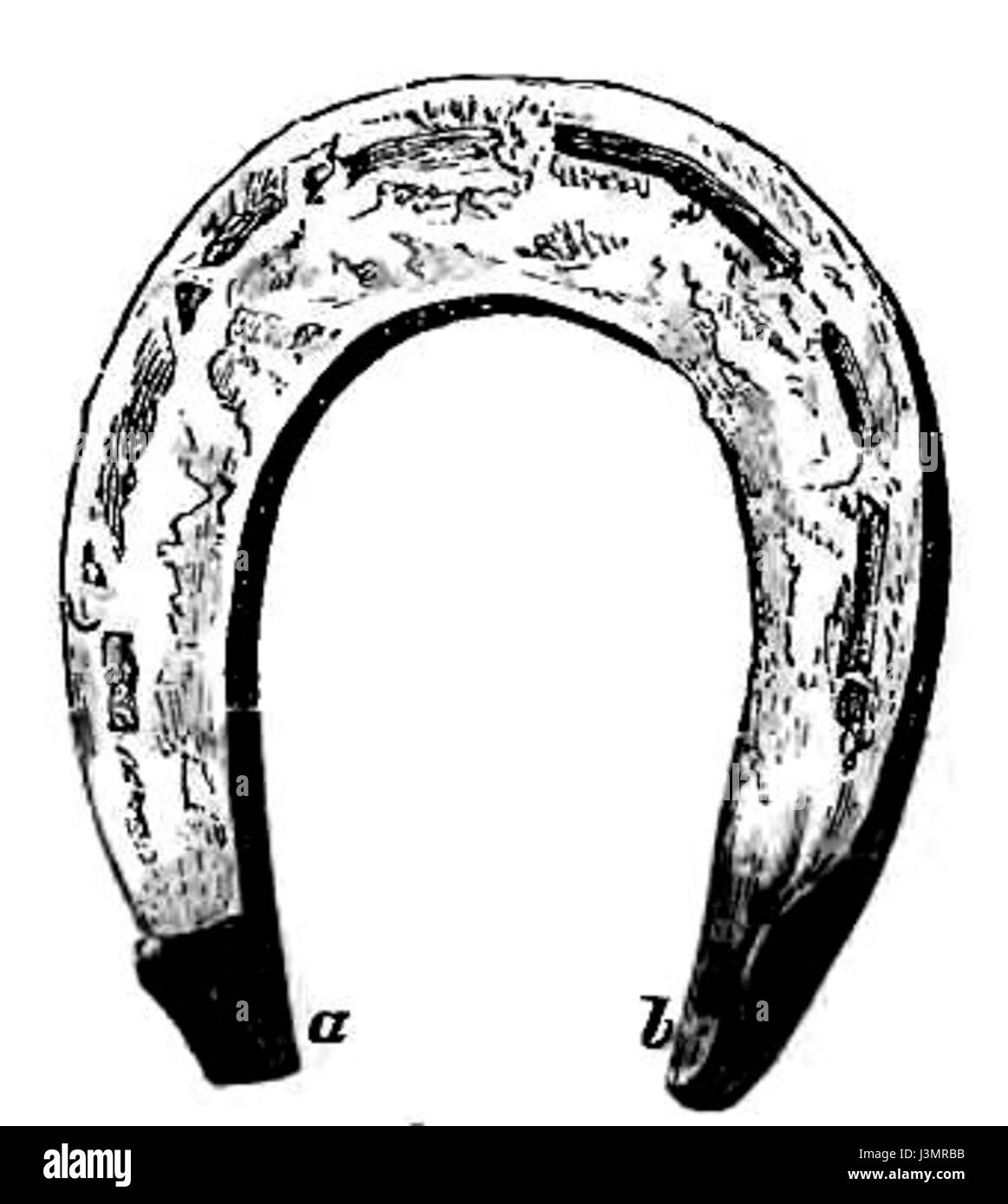 Ce texte aborde les chaussures à cheval et le processus de la raquette à cheval, une pratique essentielle dans les soins équins. L'accent est mis sur l'importance de la chaussure pour la santé et la performance des chevaux. Banque D'Images