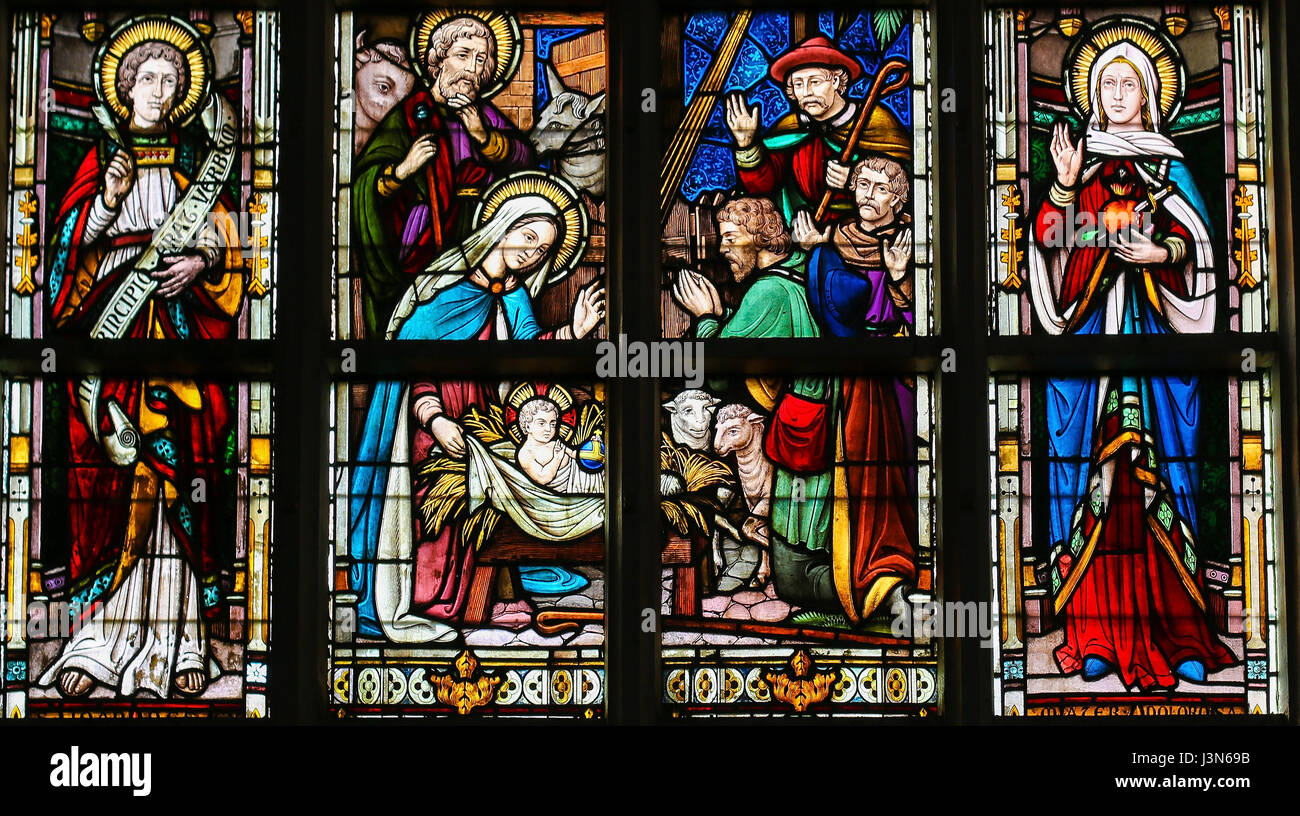 Vitrail dans l'église de Saint André à Anvers, Belgique, représentant une scène de la Nativité à Noël Banque D'Images