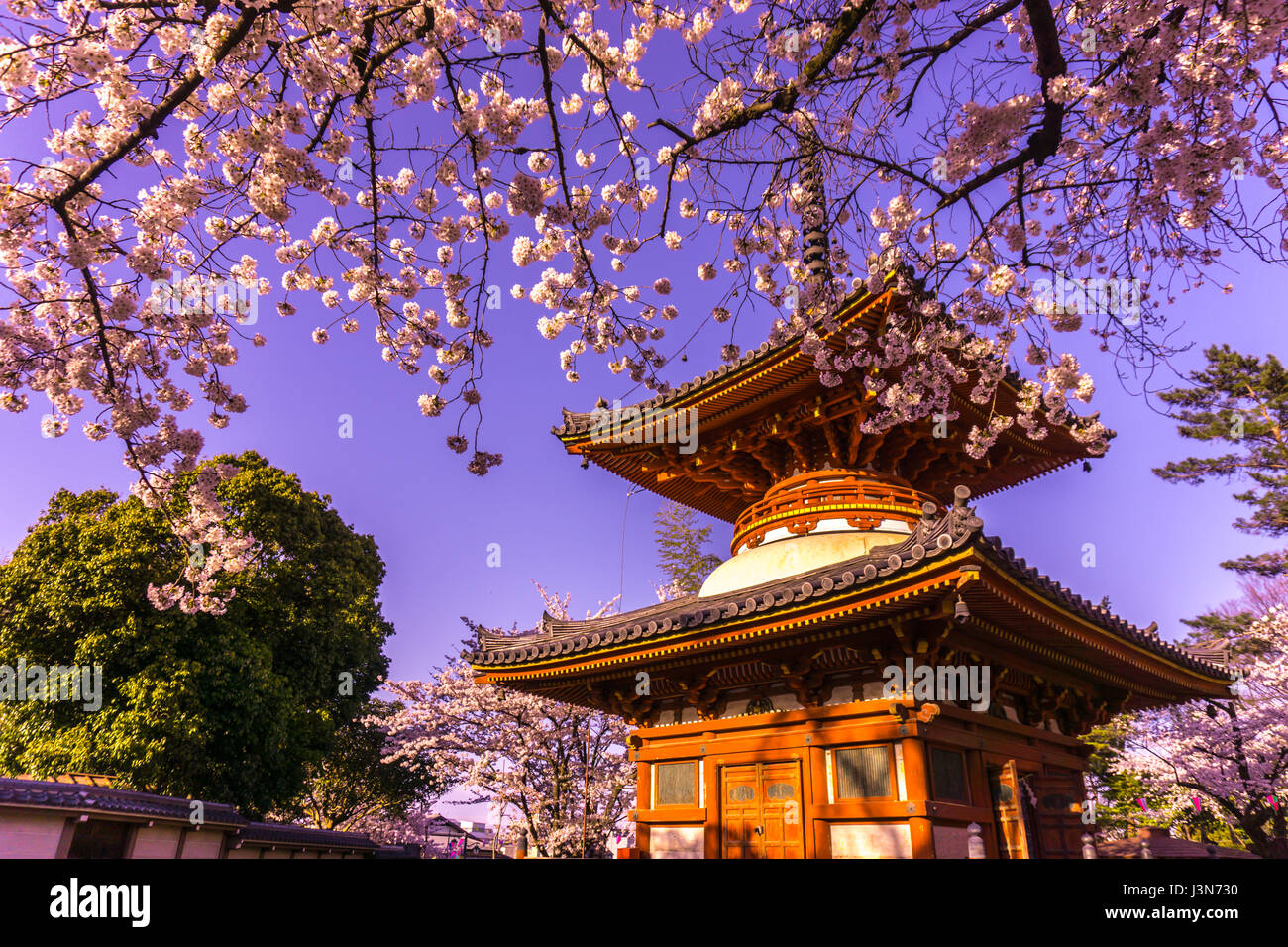 Temple Kitain au printemps à Kawagoe ville Fukuoka au Japon Banque D'Images