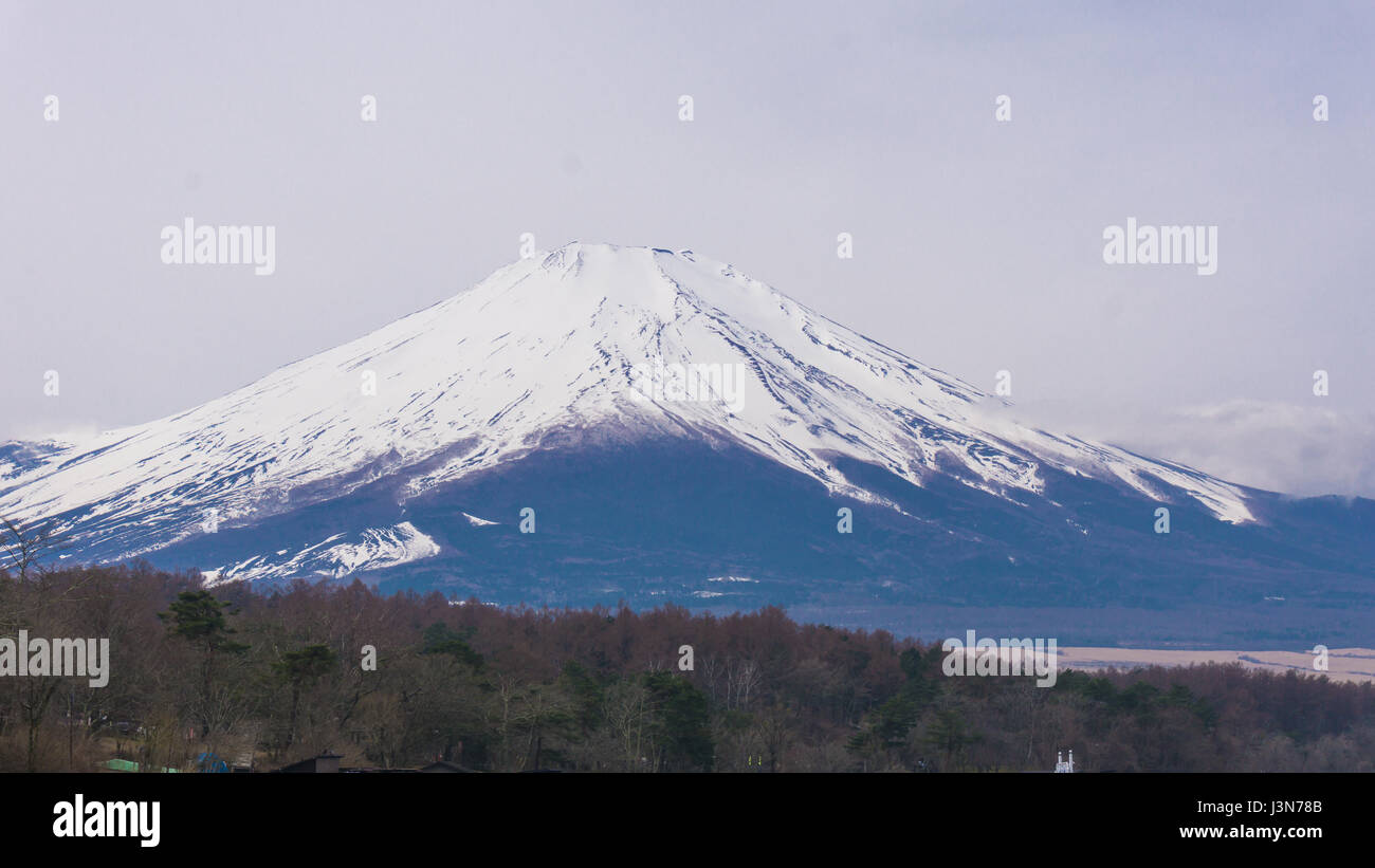 Le mont Fuji avec de la neige au sommet au printemps au lac Yamanaka Banque D'Images