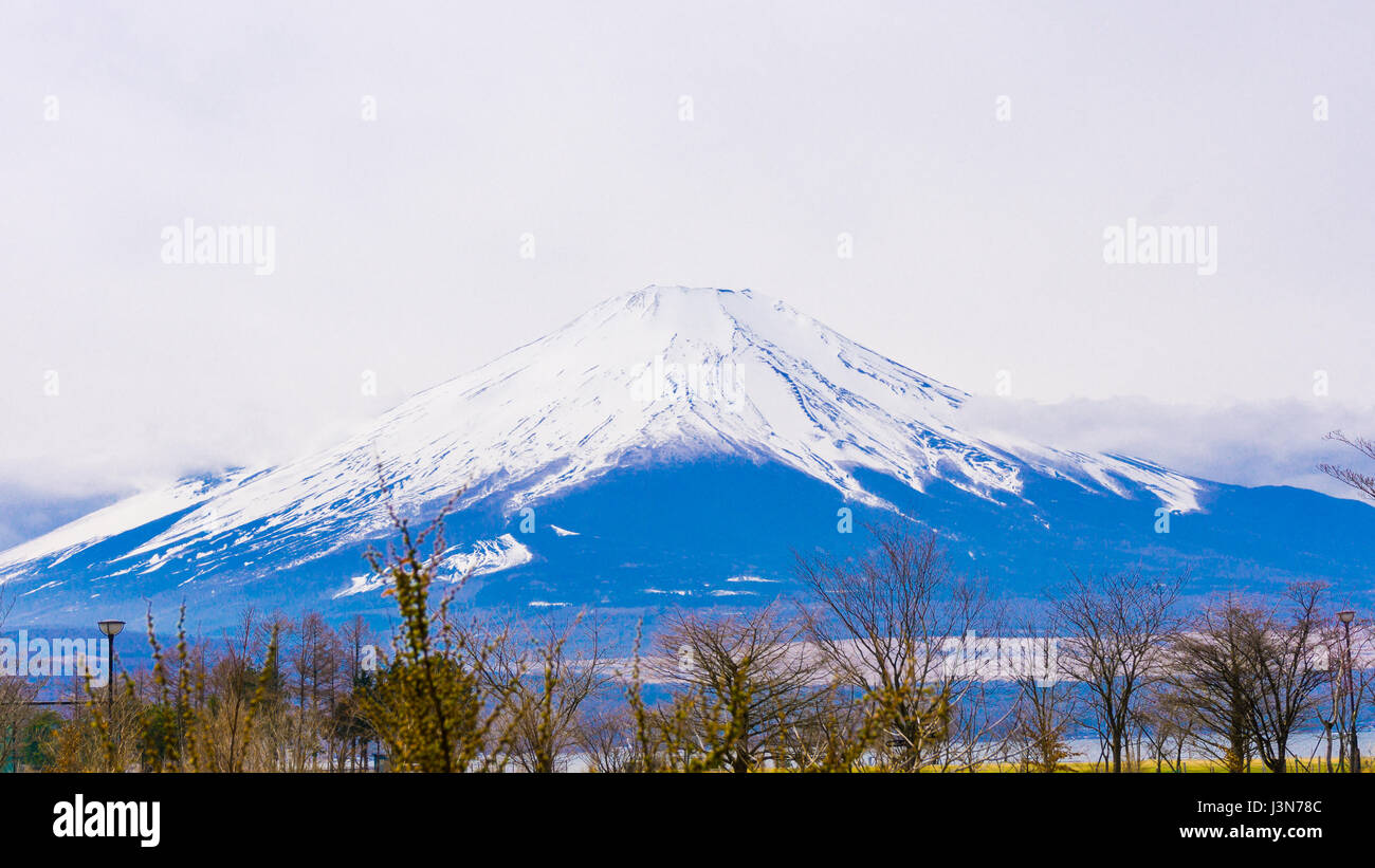 Le mont Fuji avec de la neige au sommet au printemps au lac Yamanaka Banque D'Images