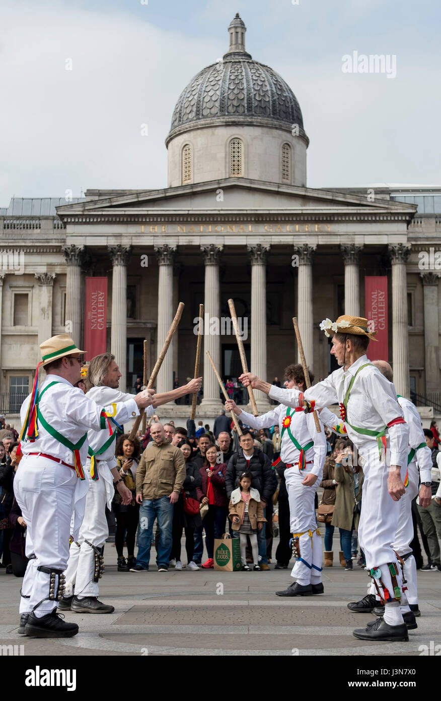 Les membres de la Cambridge Morris Men prendre part à la Westminster Morris Men's Journée annuelle de la danse à Trafalgar Square, Londres, avec des équipes de danse à travers l'Angleterre. Banque D'Images
